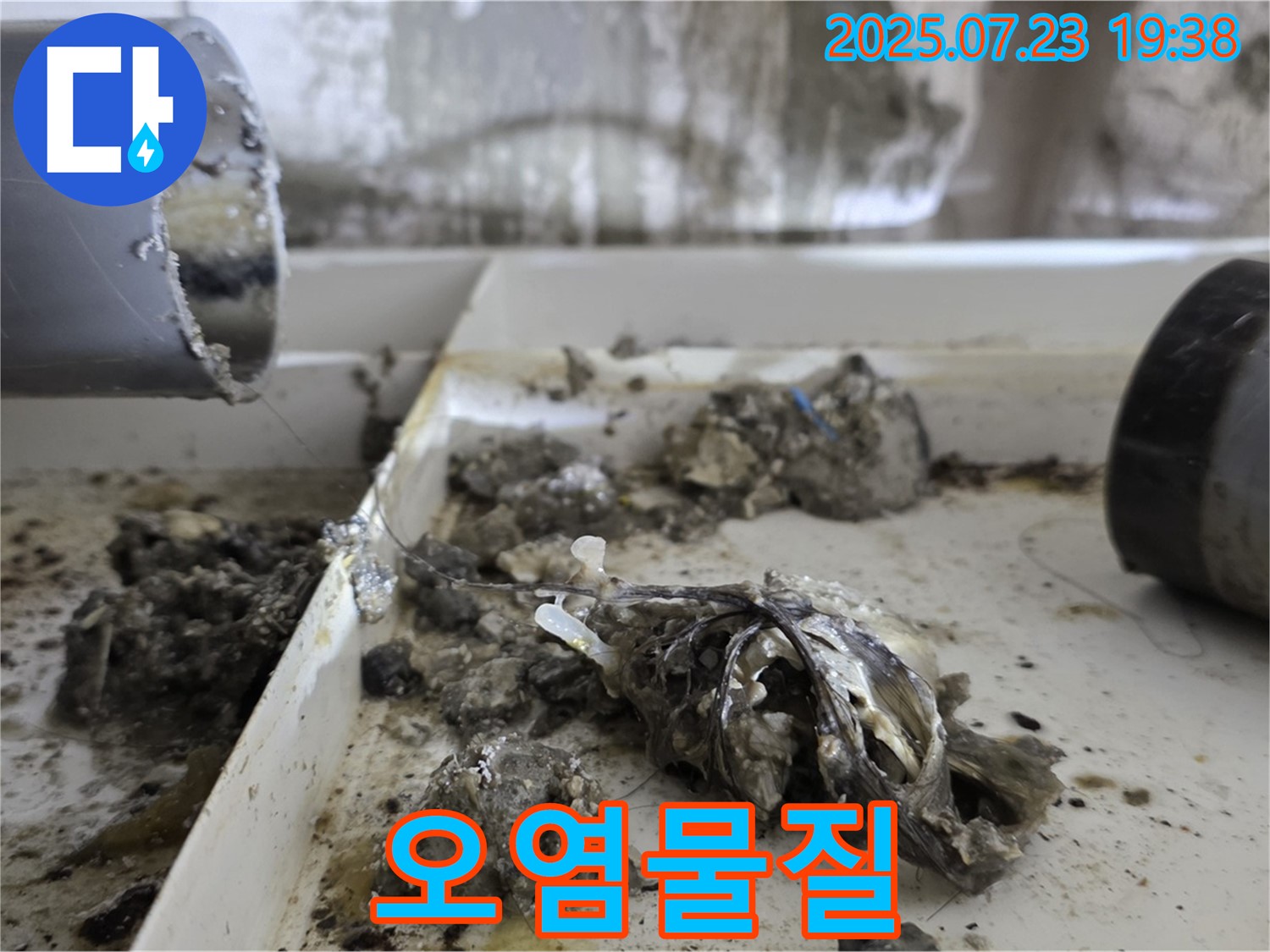 중계동 라이프청구신동아 아파트 - 배수관 속 오염물질, 혐오 주의