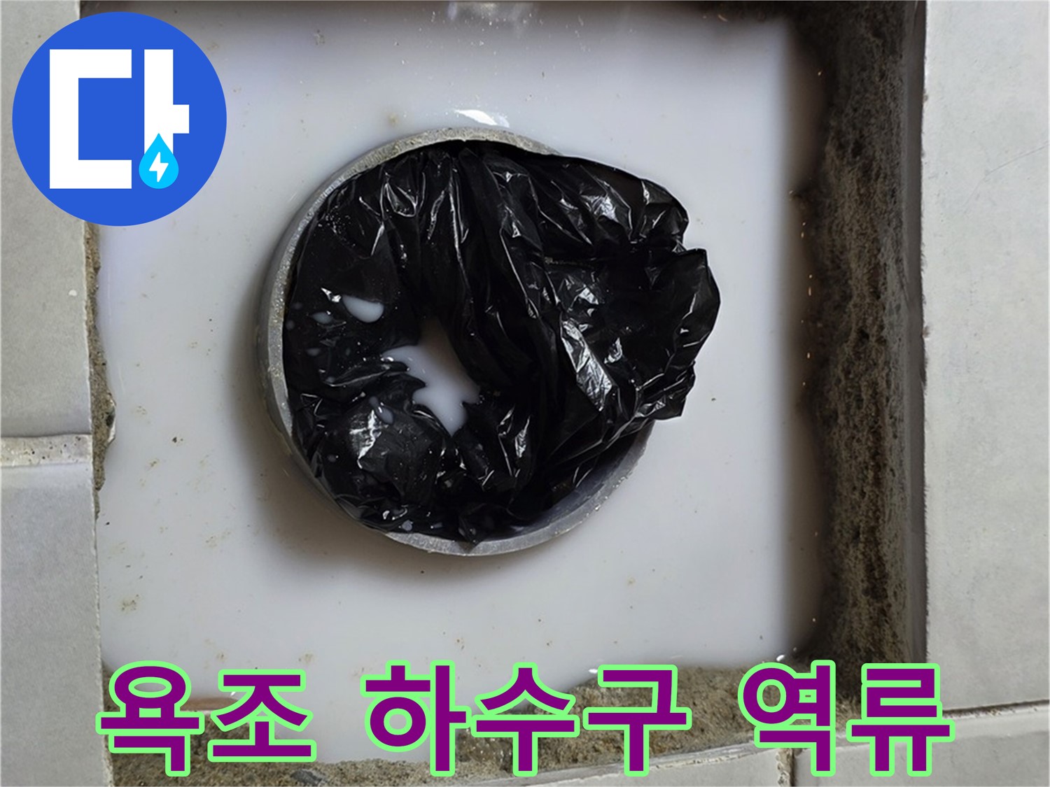 욕조 하수구 역류 - 문제의 심각성