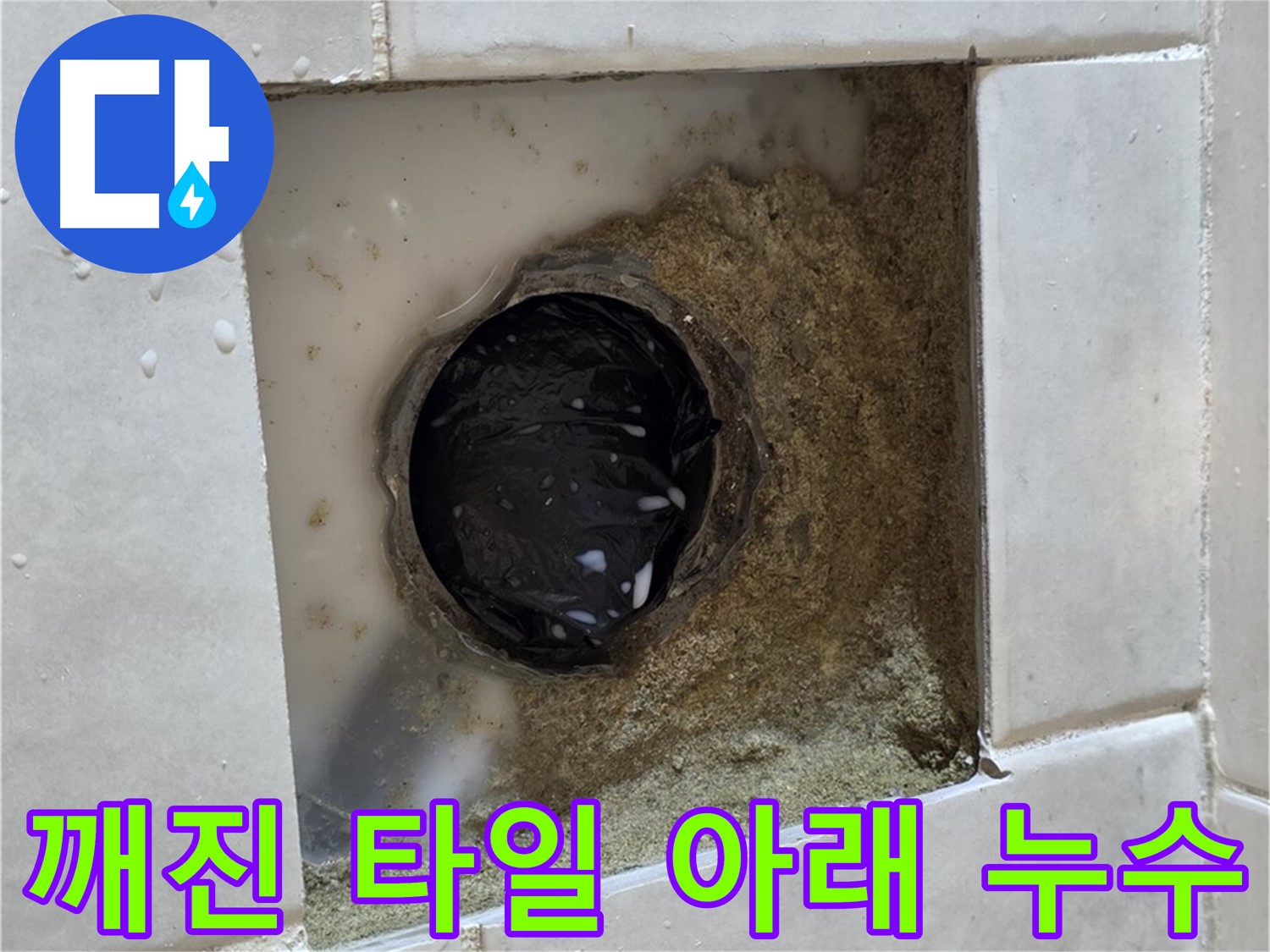 과천 문원동 욕실 깨진 타일 아래 누수 - 손상된 타일과 누수 흔적, 정밀 탐지와 보수