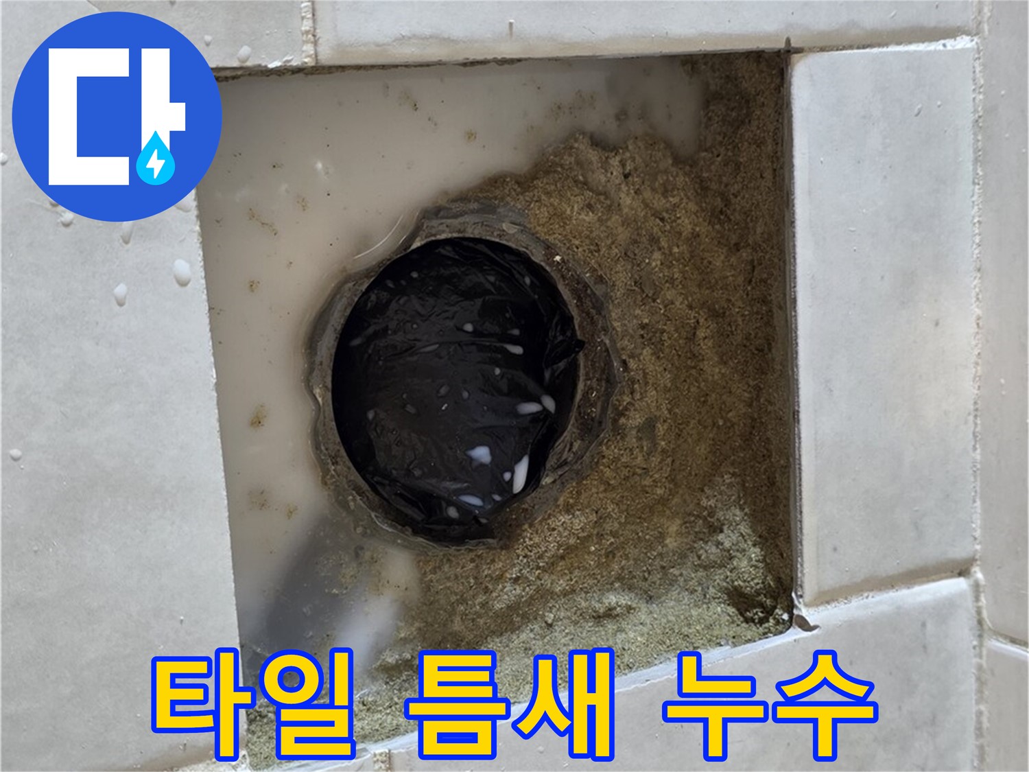 과천 문원동 욕실 바닥 타일 틈새 누수 - 젖은 타일과 곰팡이, 꼼꼼한 시공으로 해결