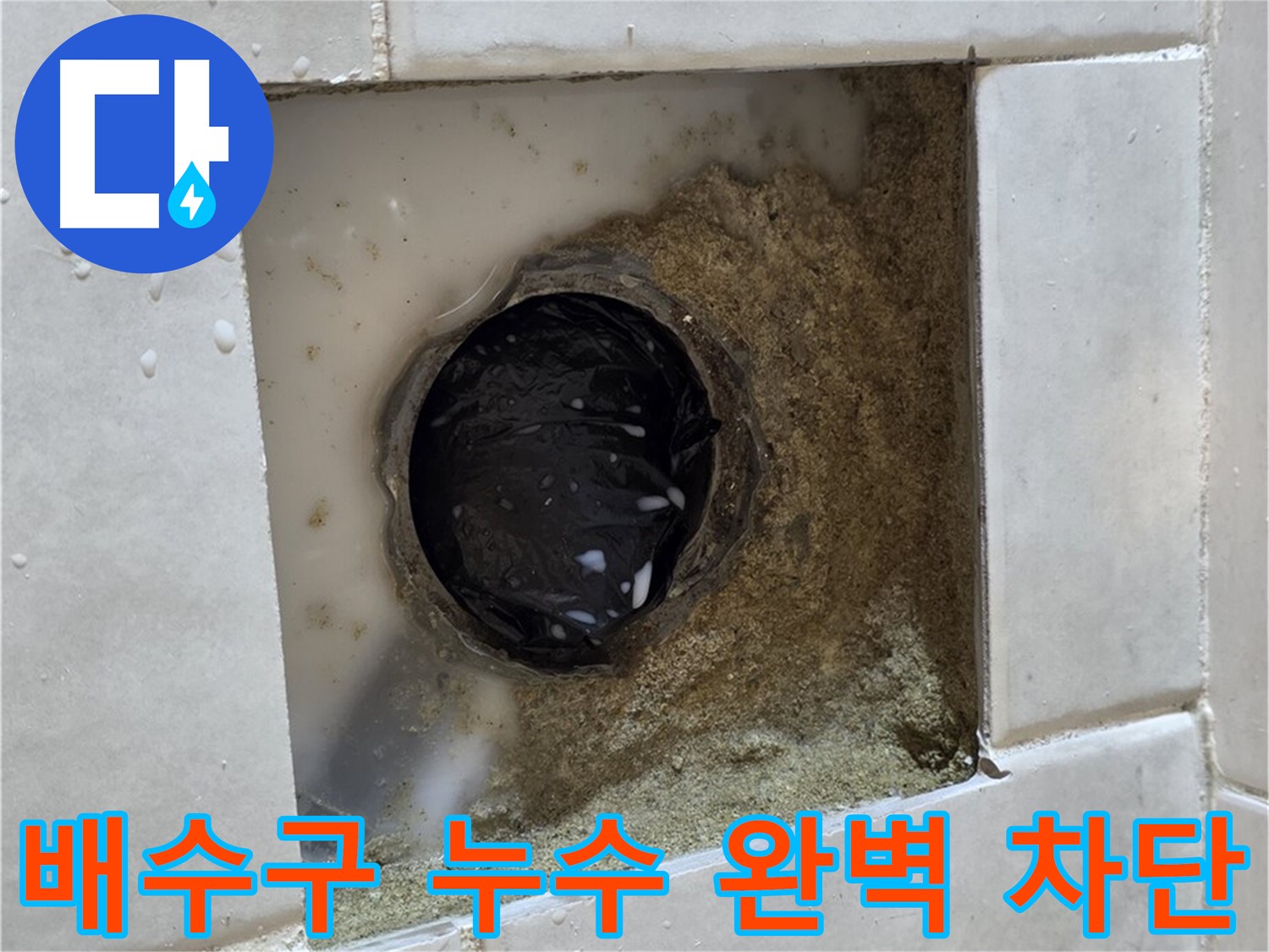 과천 문원동 욕실 배수구 누수 - 젖어있는 배수구 주변, 완벽한 차단으로 속 시원하게 해결