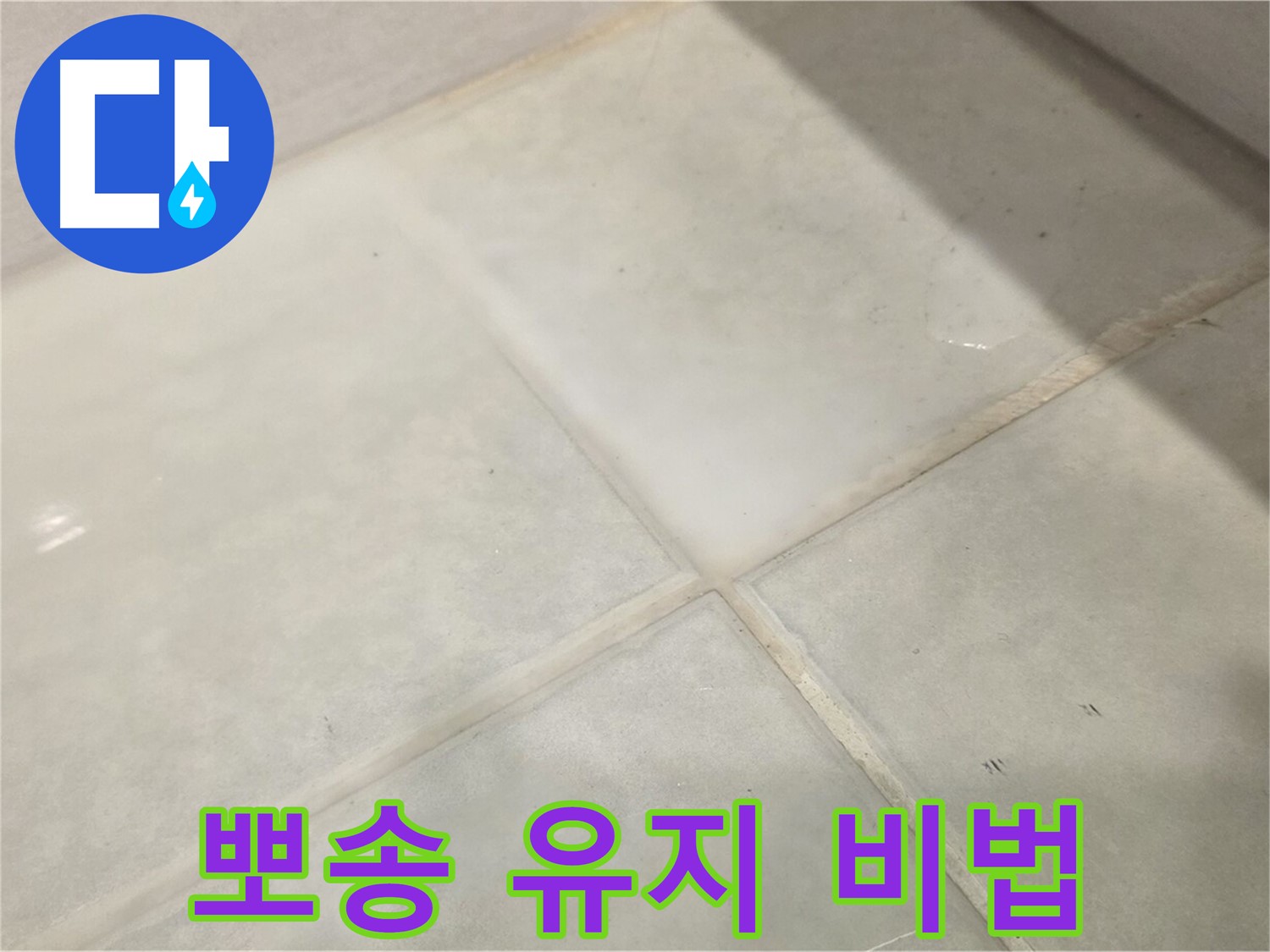 문원동 욕실 누수 해결 - 틈새 곰팡이 완벽 제거 뽀송 유지 비법