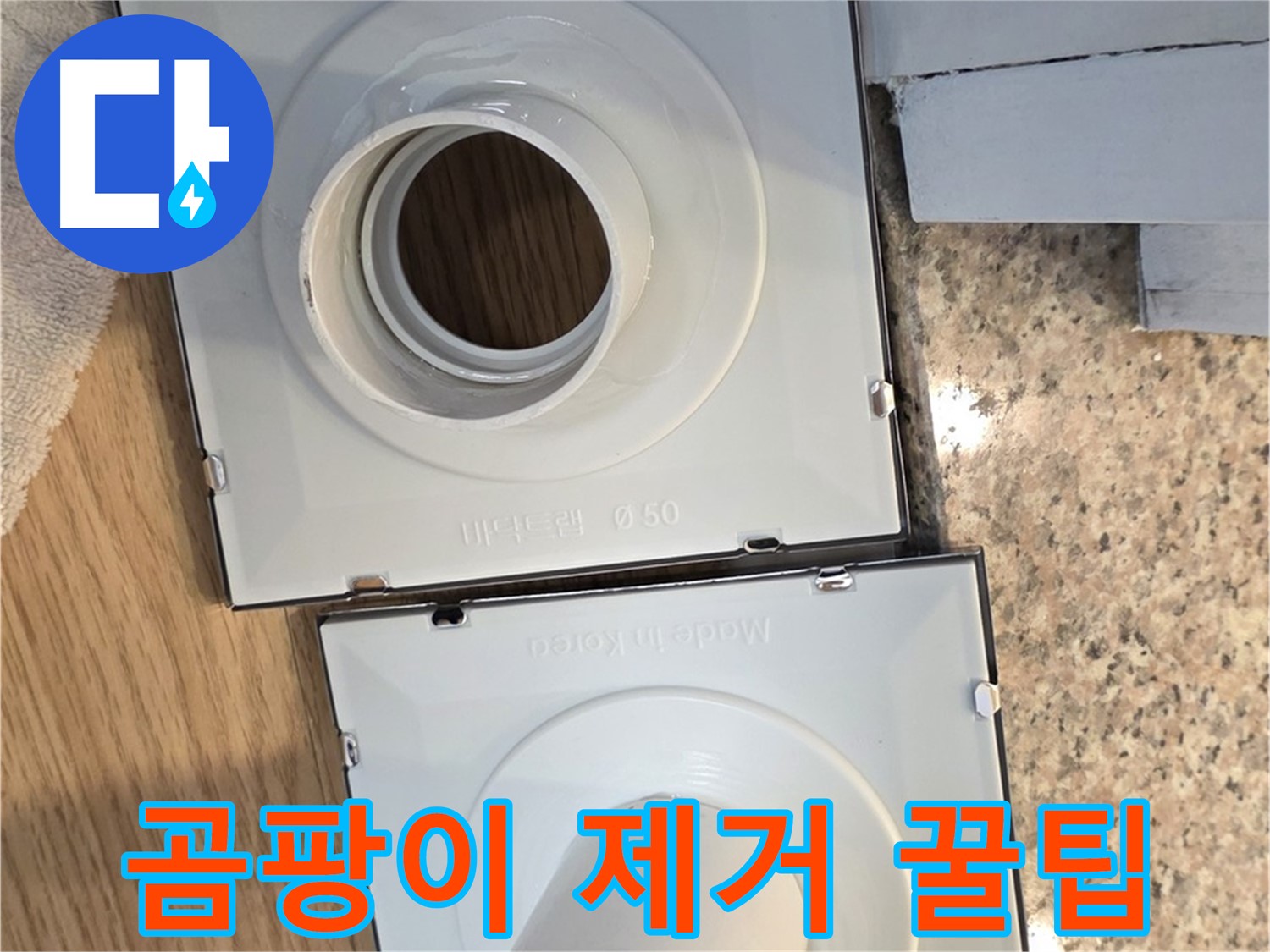 배수구 주변 곰팡이 완벽 제거 및 예방