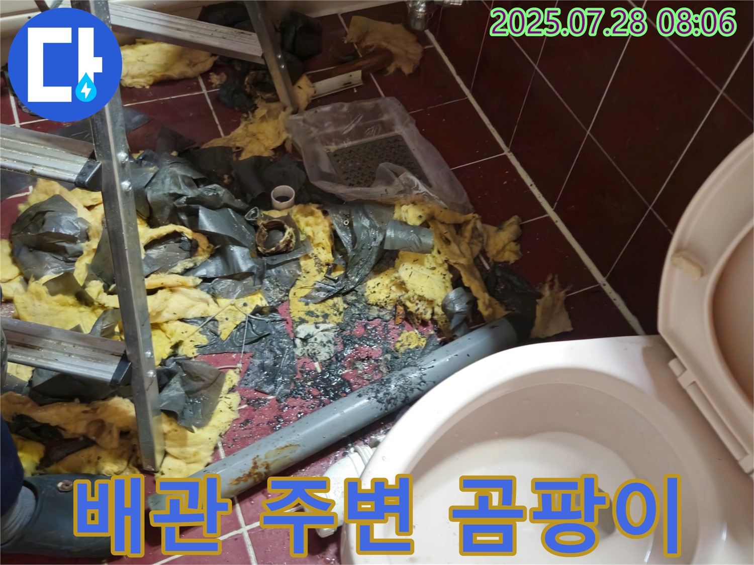남양주 화도읍 두산아파트 화장실 누수 - 천장 배관 주변에 곰팡이가 심하게 발생했습니다.