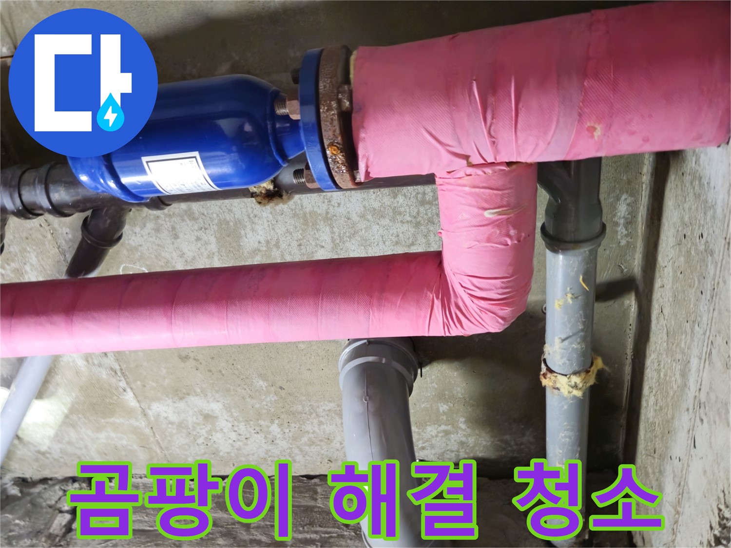 두산아파트 누수 - 곰팡이 문제 완벽 해결! 깨끗한 청소와 곰팡이 방지 시공까지!
