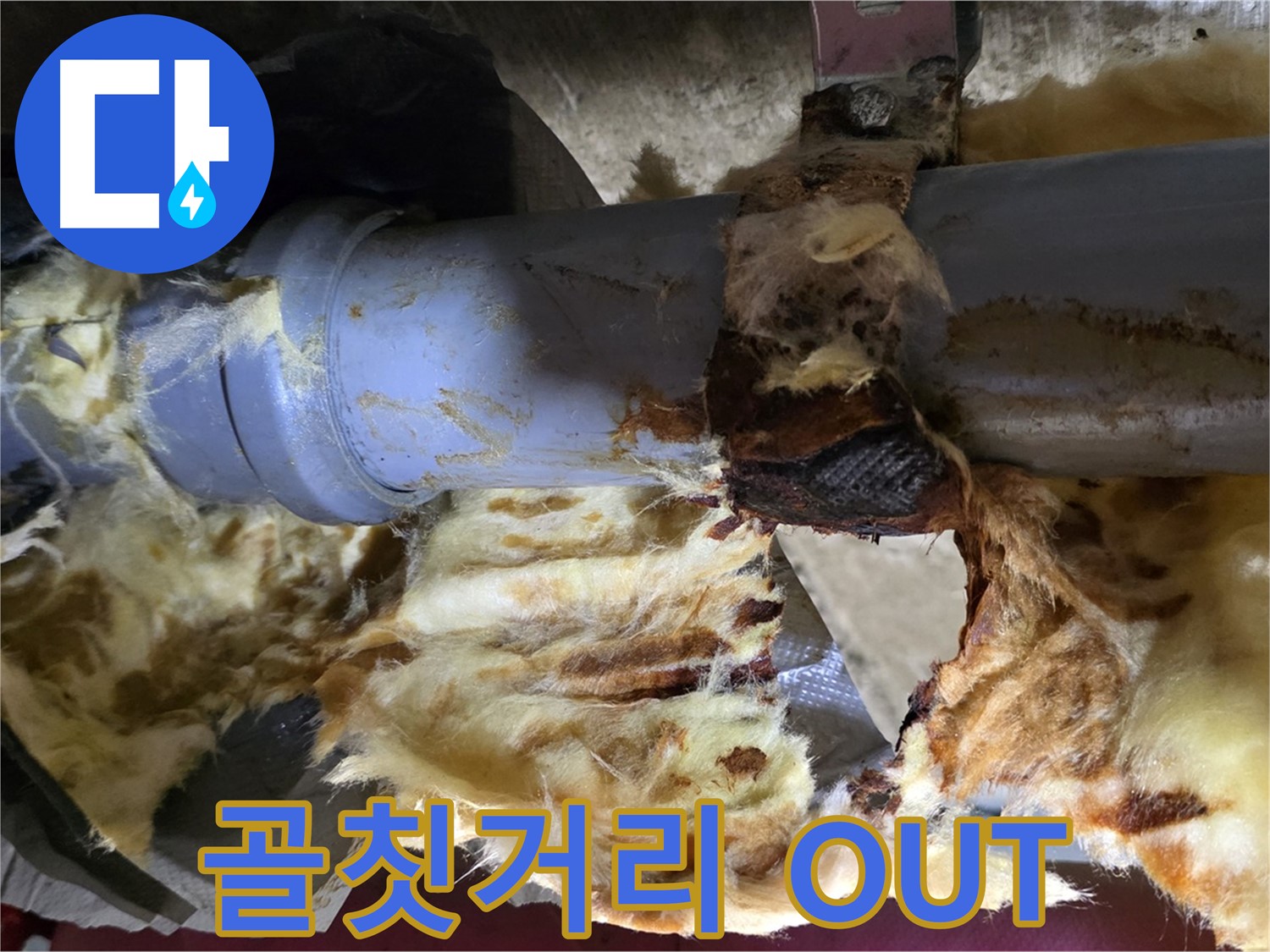 두산아파트 누수 - 낡은 배관, 곰팡이, 젖은 단열재 3가지 골칫거리를 완벽하게 OUT 시켰습니다.