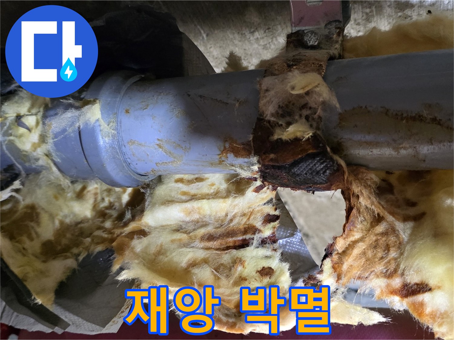 두산아파트 누수 - 낡은 배관, 곰팡이, 젖은 단열재 3가지 재앙을 완전 박멸했습니다.