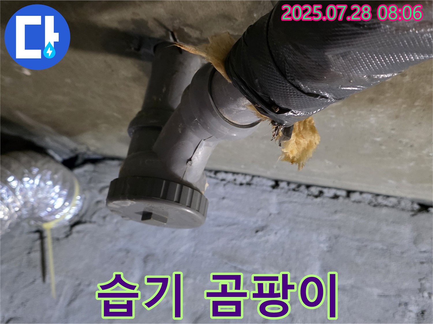 화도읍 두산아파트 누수 - 배수관 연결부 습기 찬 보온재에서 곰팡이가 발생했습니다.