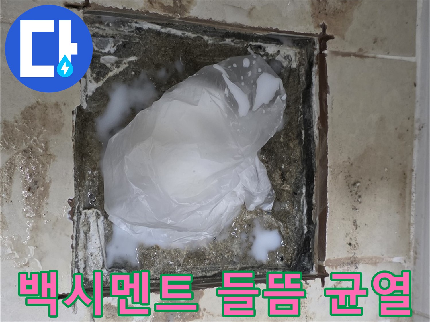 고양시 덕양구 욕실 바닥 누수 - 배수구 주변 백시멘트 들뜸과 균열