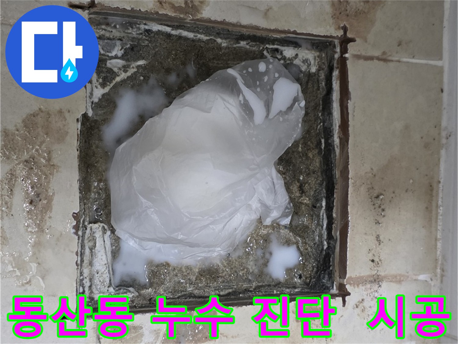 동산동 화장실 변기 유가 배관 누수 원인 해결 및 방수 - 곰팡이 제거