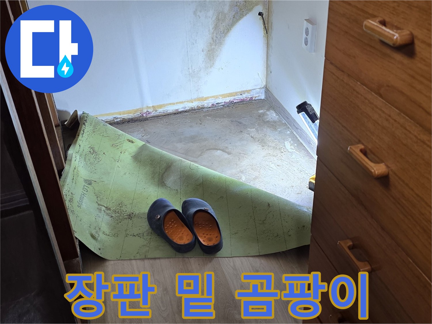 옥인동 주택 - 장판 밑 곰팡이 - 누수 심각