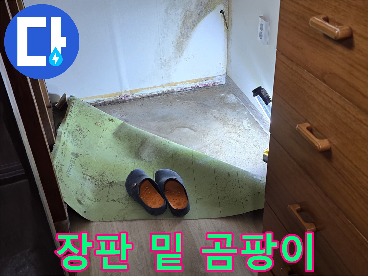 옥인동 주택 - 장판 밑 곰팡이 - 누수 심각