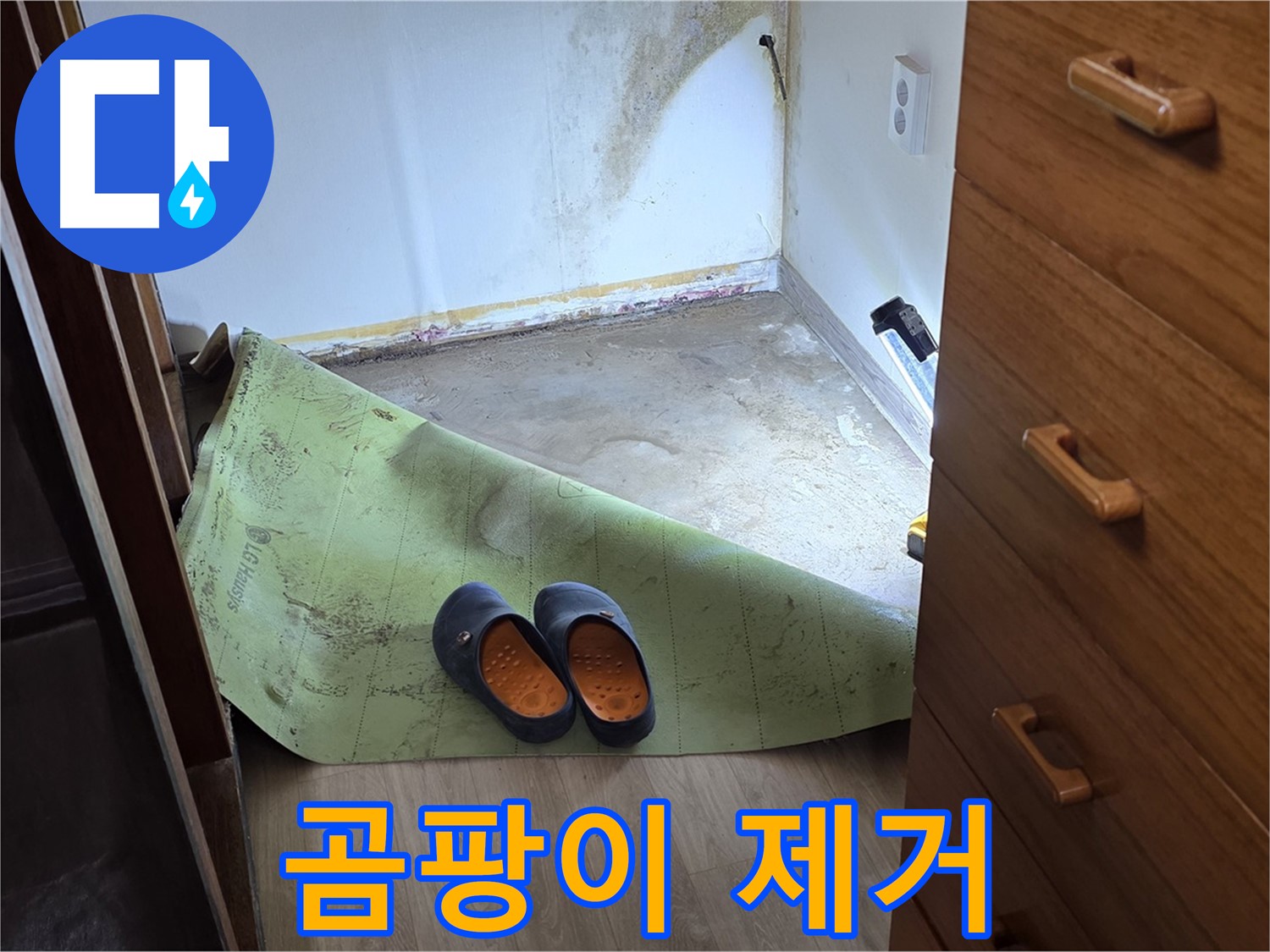 옥인동 주택 - 장판 밑 곰팡이 제거 - 완벽 해결