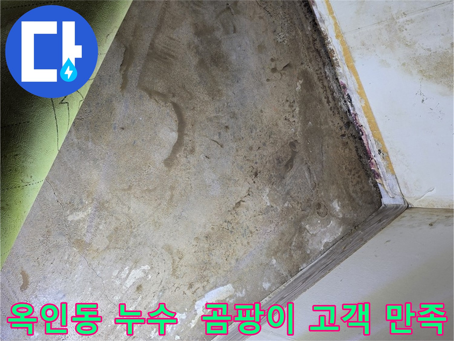 장판 밑 곰팡이 - 옥인동 고객 만족 확인