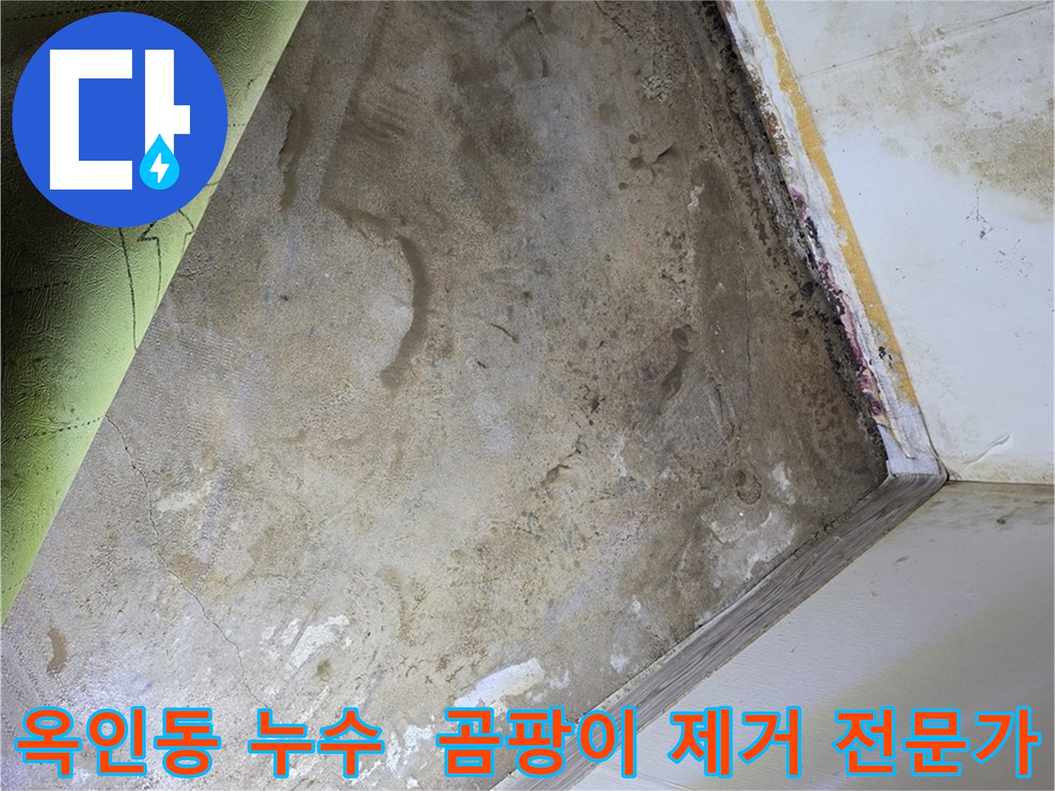 장판 밑 곰팡이 - 옥인동 곰팡이 제거 전문가