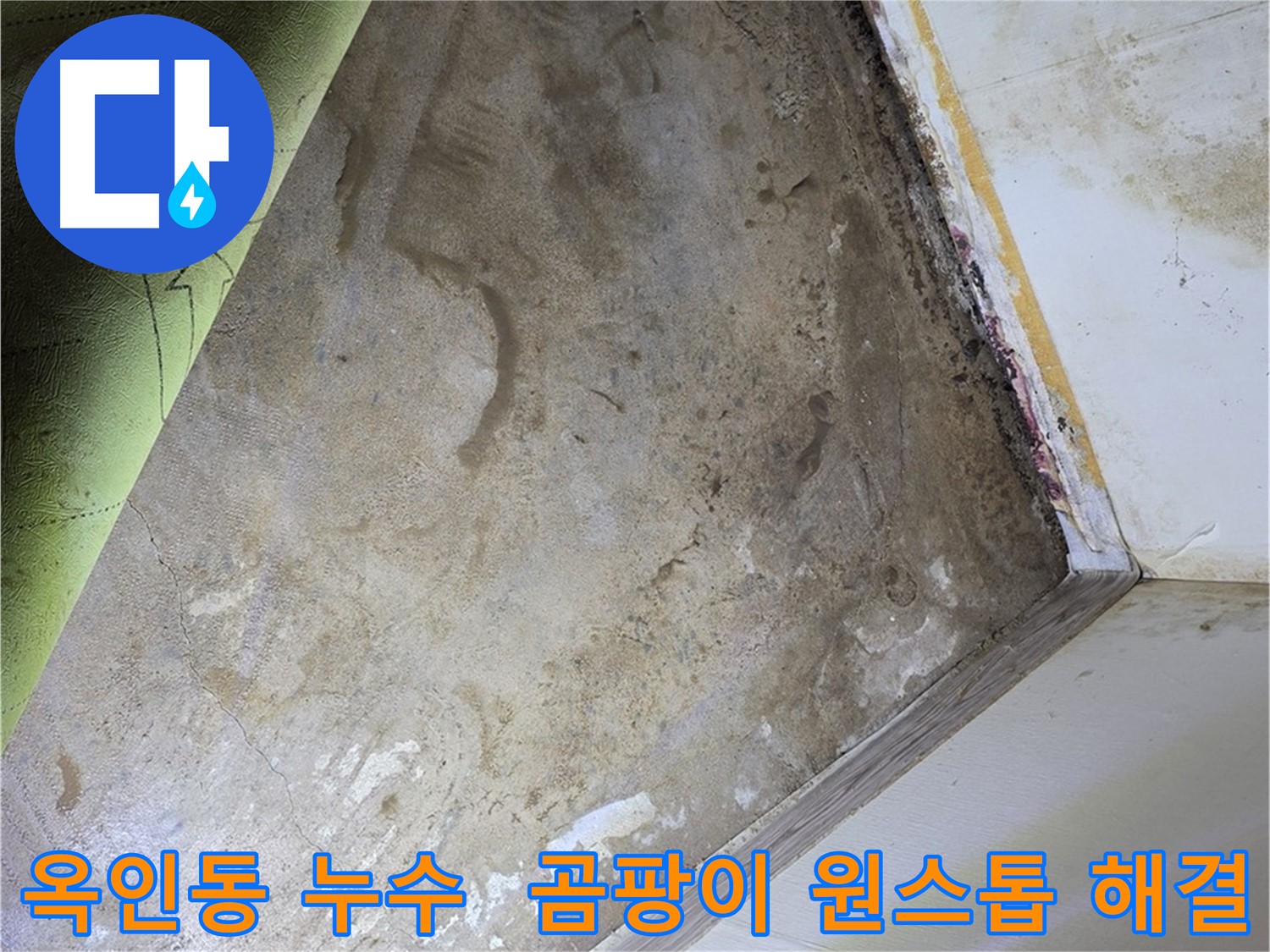 장판 밑 곰팡이 - 옥인동 누수 탐지부터 곰팡이 제거까지 원스톱