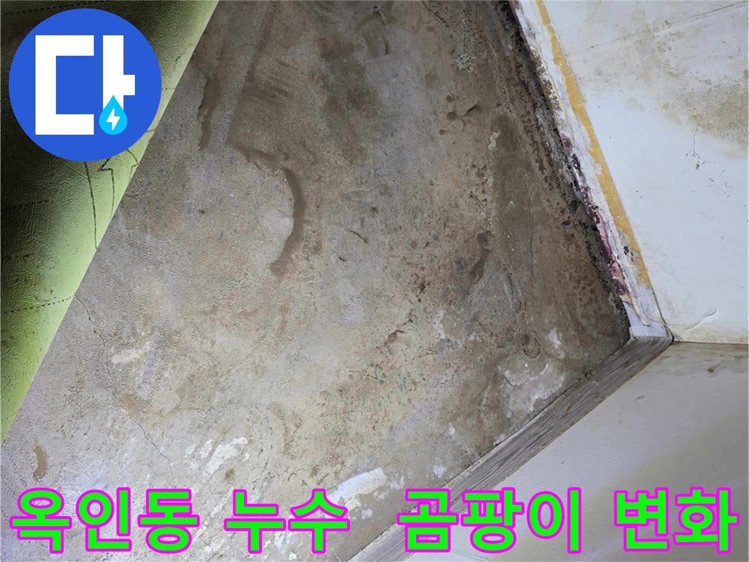 장판 밑 곰팡이 - 옥인동 쾌적한 환경으로 변화