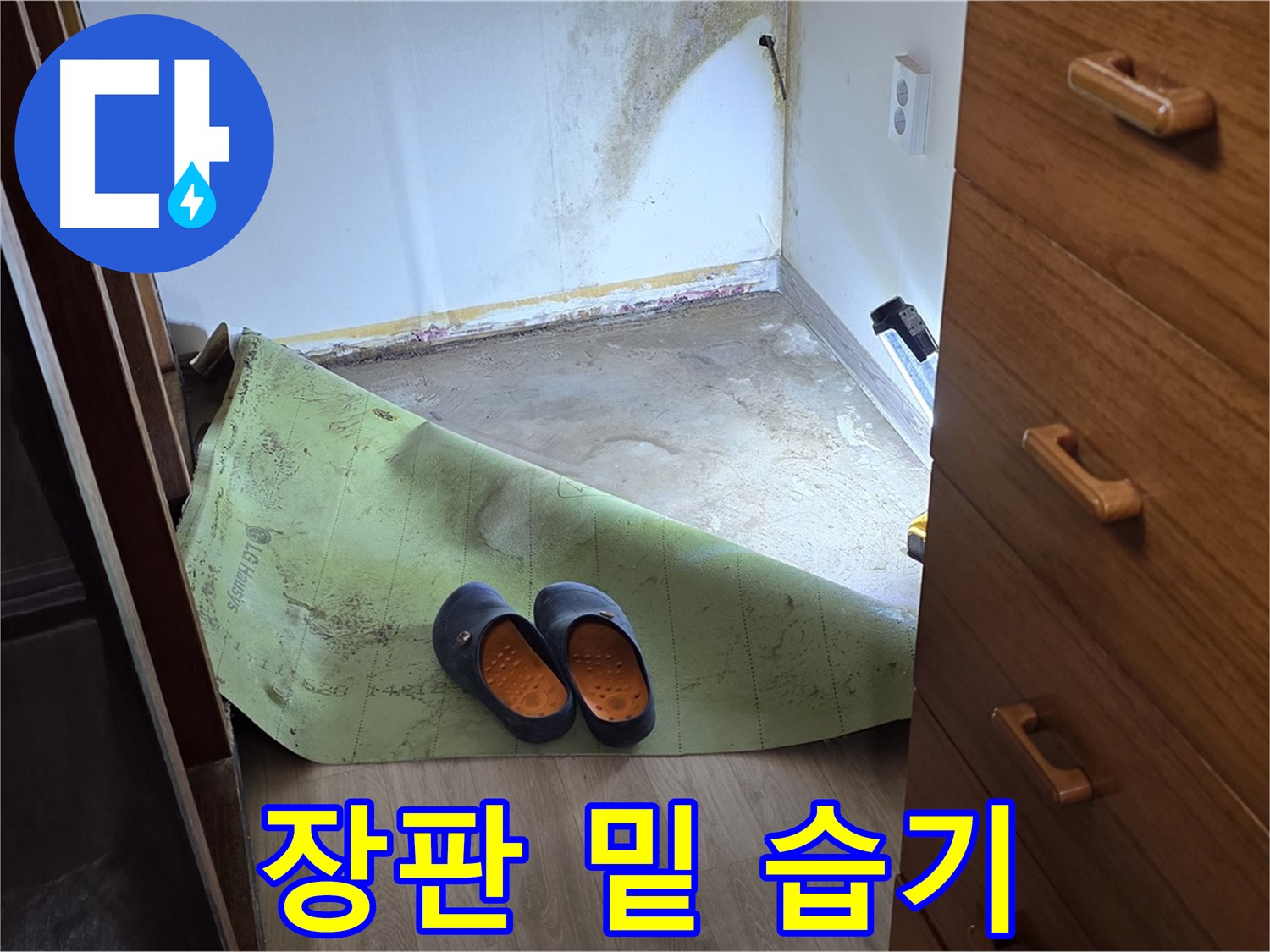 장판 밑에 숨겨진 습기 - 꼼꼼한 누수 탐지가 중요