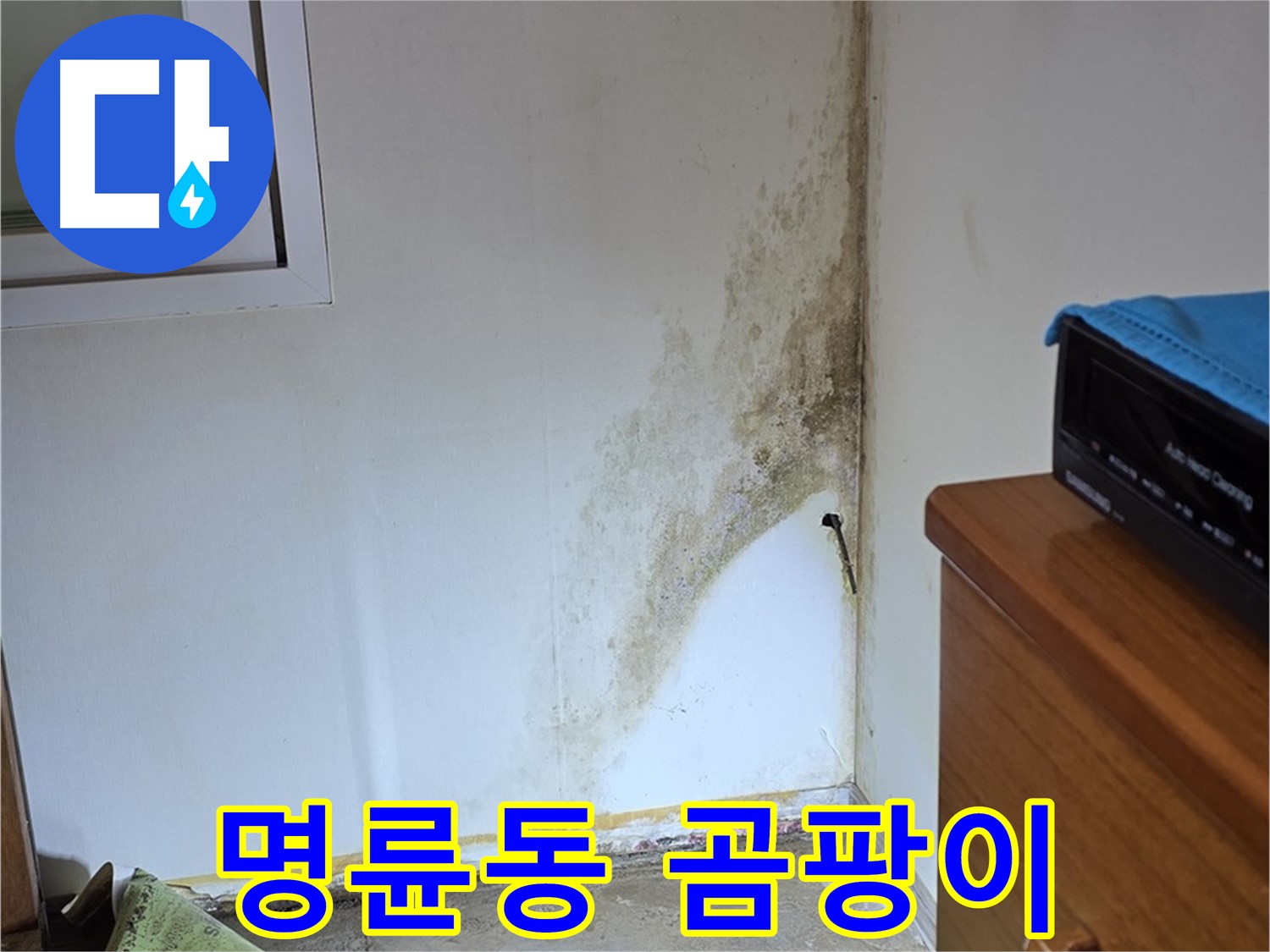 종로구 명륜동 주택 누수 - 곰팡이 문제 발생 - 긴급 점검 및 해결