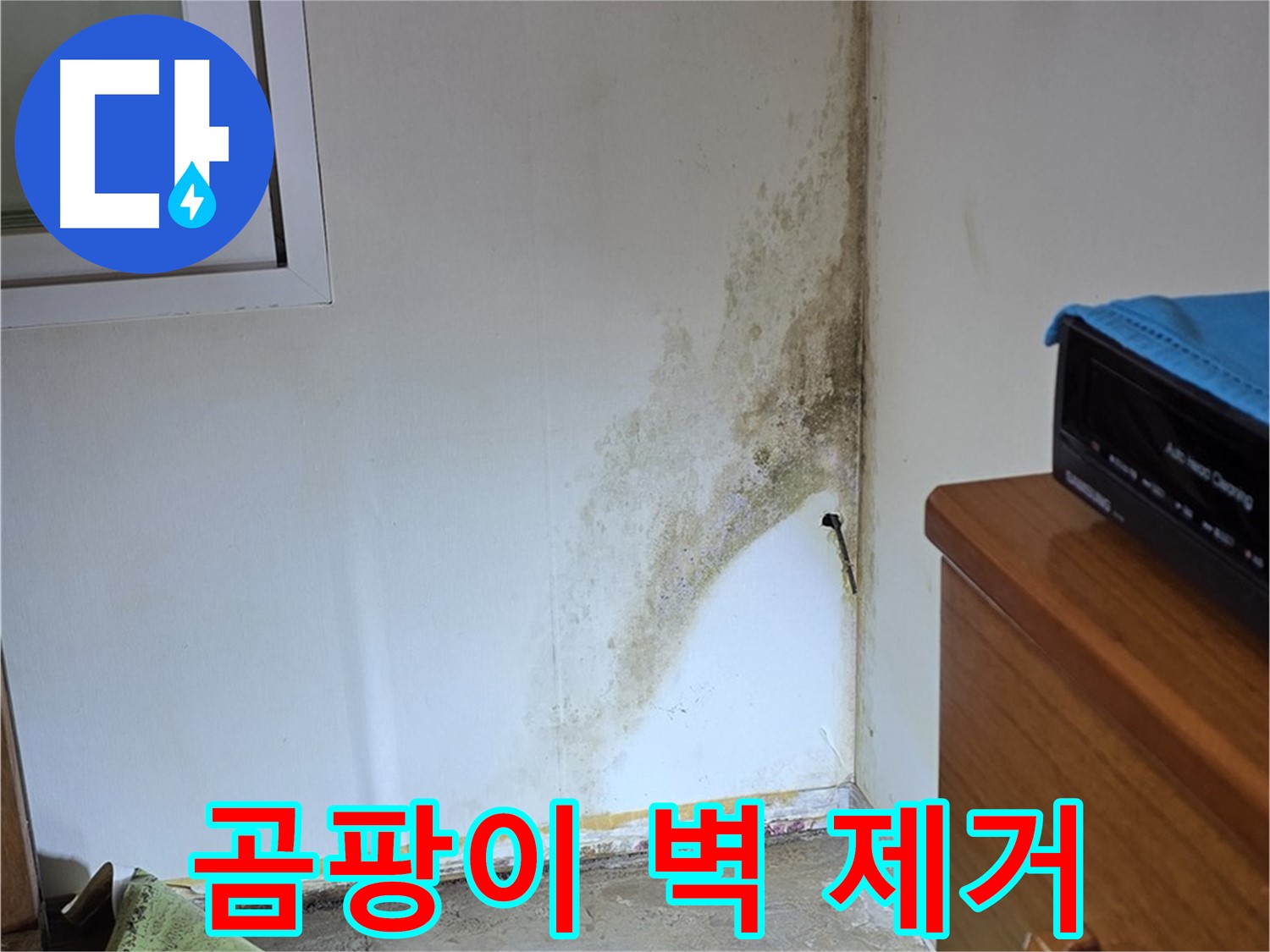 종로구 이화동 곰팡이 벽 제거 - 전문 장비와 기술력으로 깨끗하게