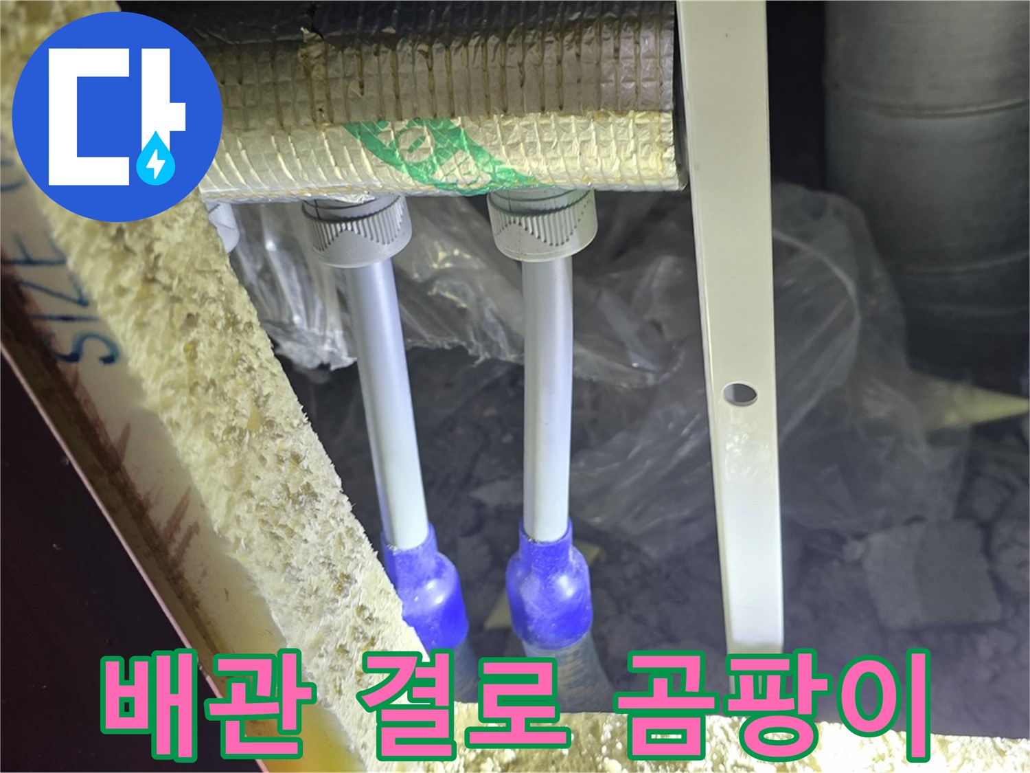 삼숭동 누수 예방 - 배관 주변 결로 발생 및 곰팡이 서식 환경 사전 진단