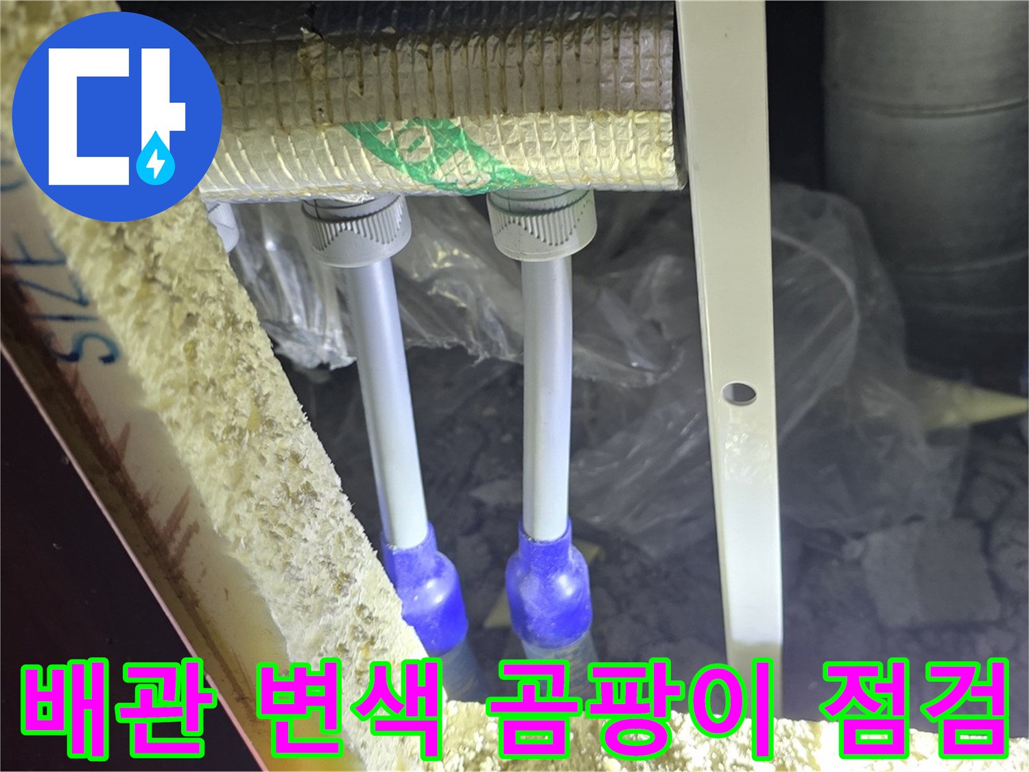 삼숭동 아파트 누수 - 배관 연결 부위 주변 백시멘트 변색 및 곰팡이 발생 여부 정밀 점검