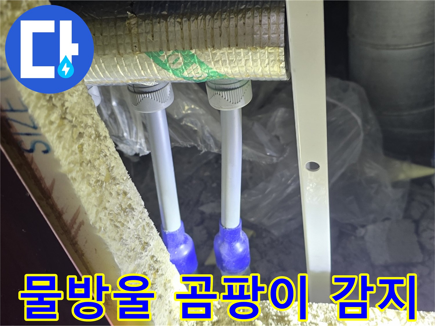 삼숭동 양주자이 누수 - 배관 연결 부속 주변 물방울 맺힘 및 곰팡이 서식 여부 세밀하게 감지