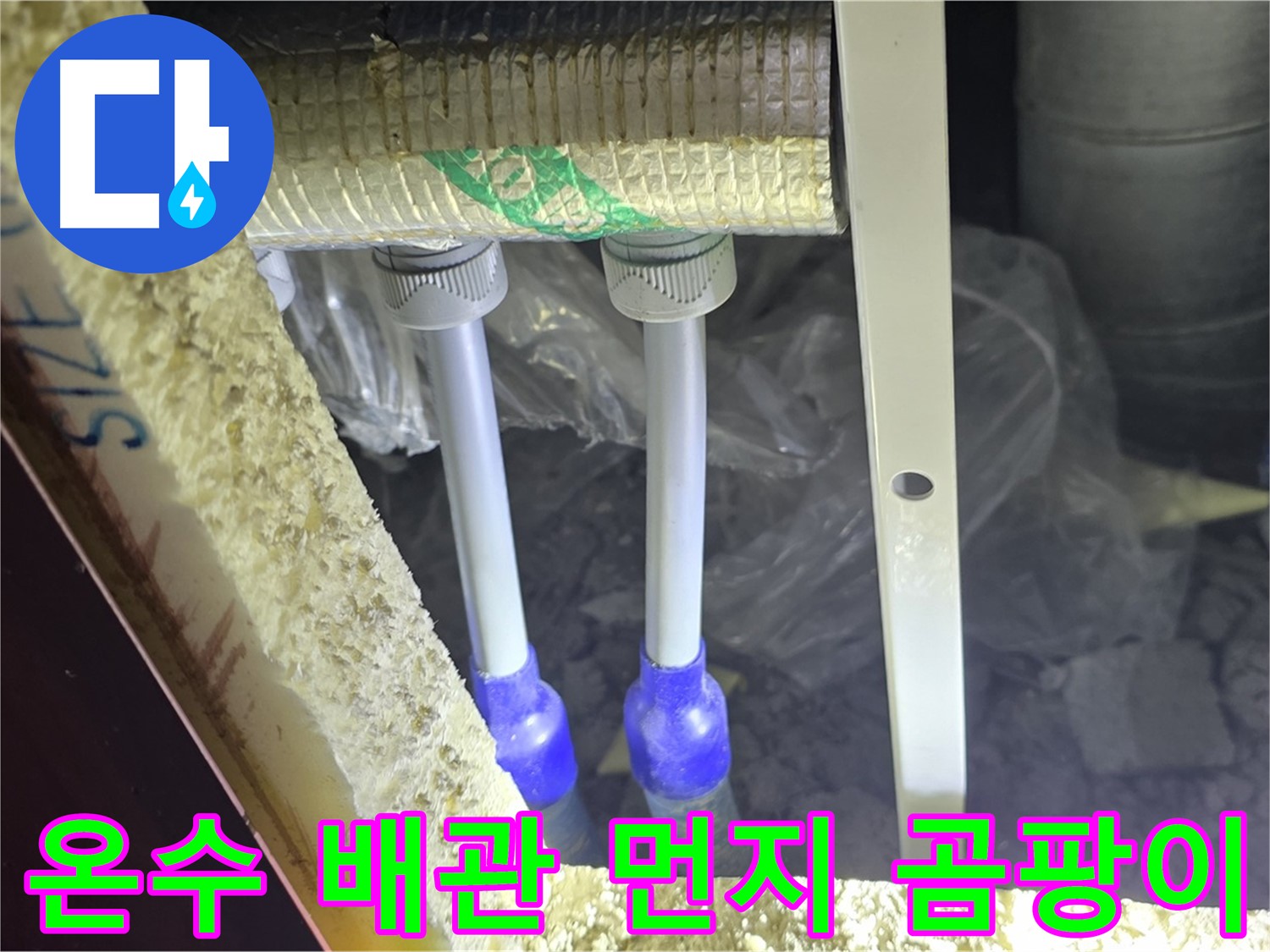 삼숭동 양주자이 누수 - 온수 배관 연결 부위 주변 먼지 뭉침 및 곰팡이 초기 발생 여부 집중 검사