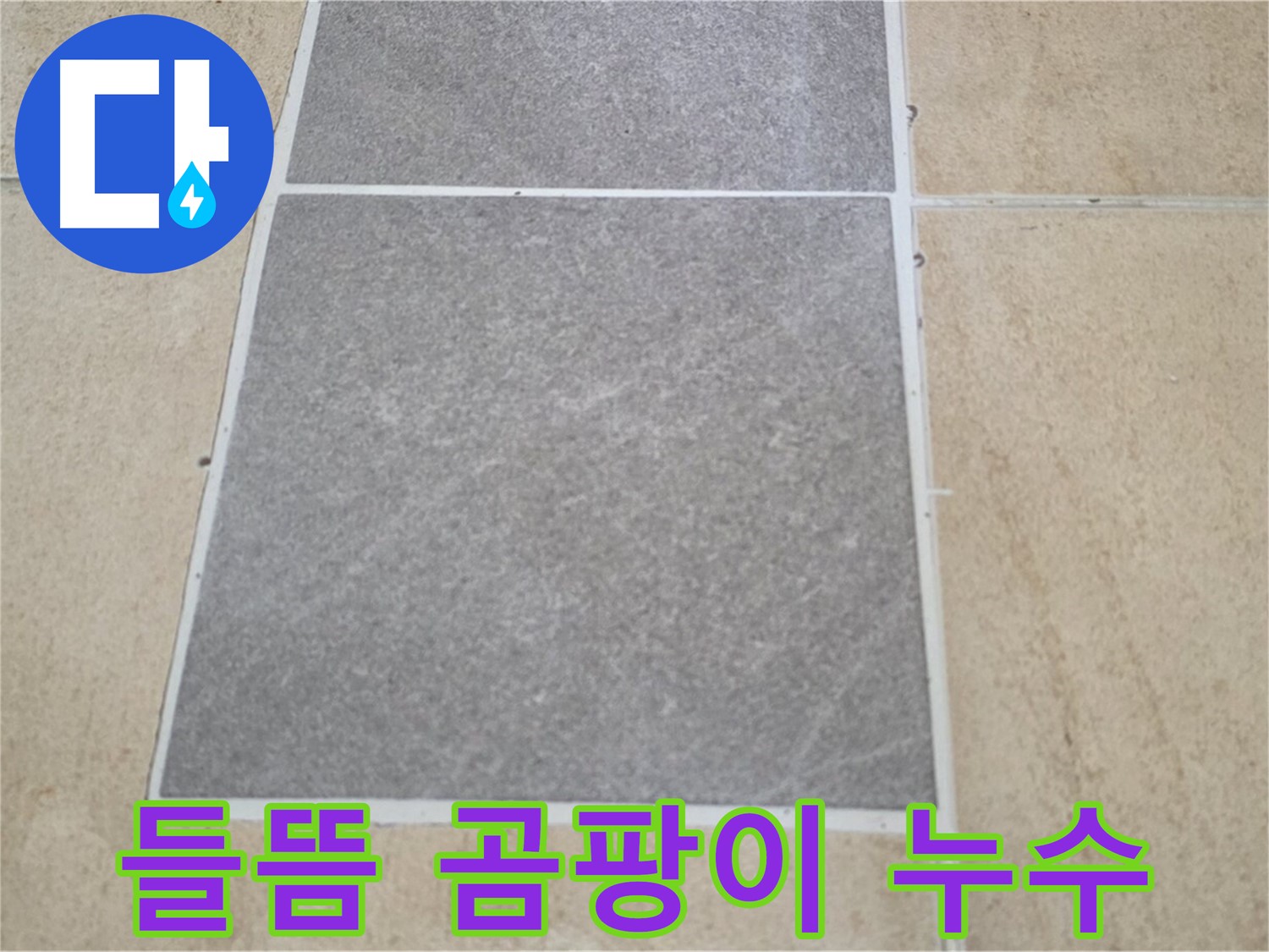 양주 삼숭동 아파트 - 타일 들뜸 주변에 검은 곰팡이가 피어 누수 여부를 확인하고 있습니다.