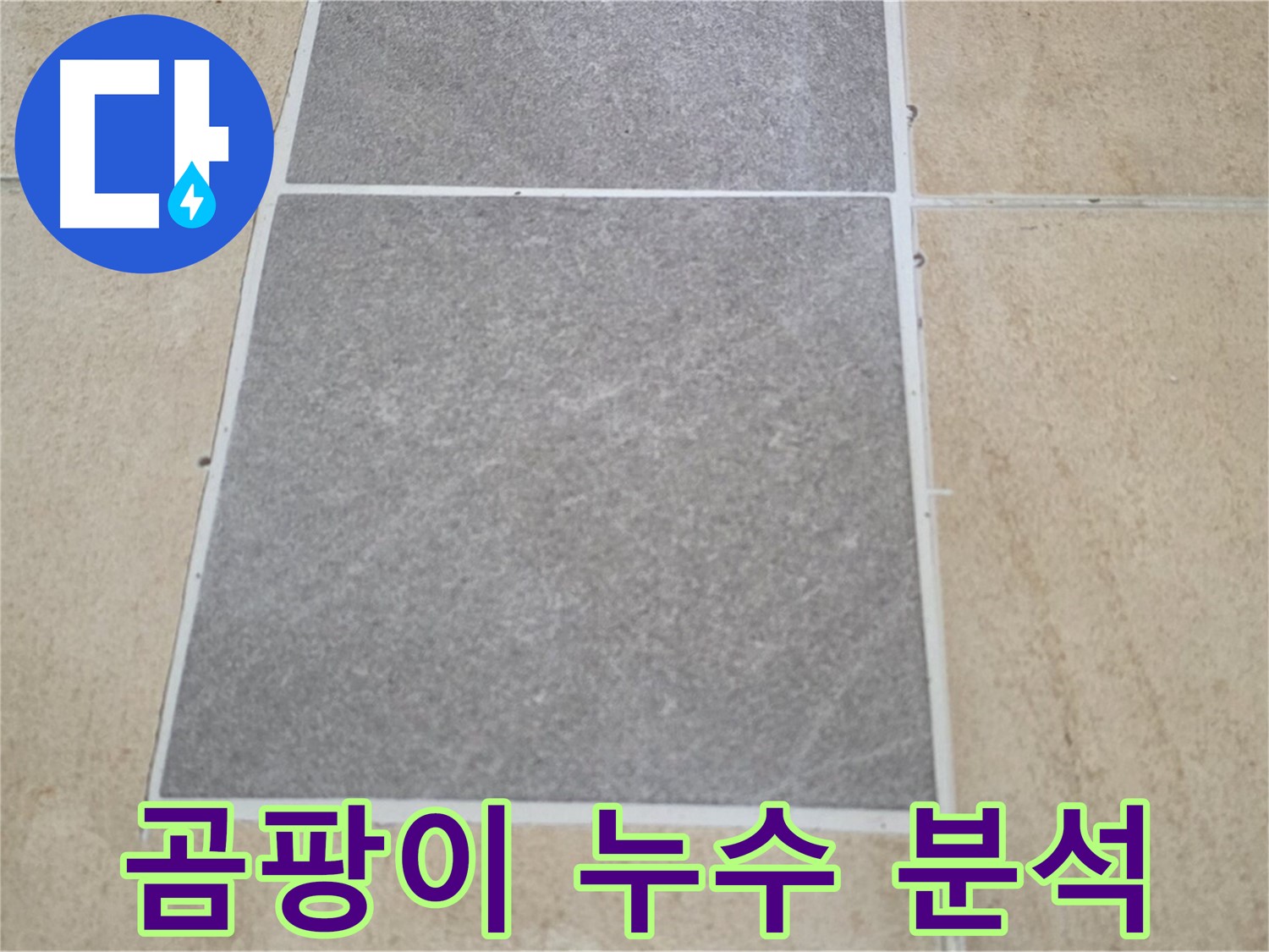 양주 삼숭동 아파트 - 타일 틈새 곰팡이 발생과 누수의 관계를 분석하고 있습니다.