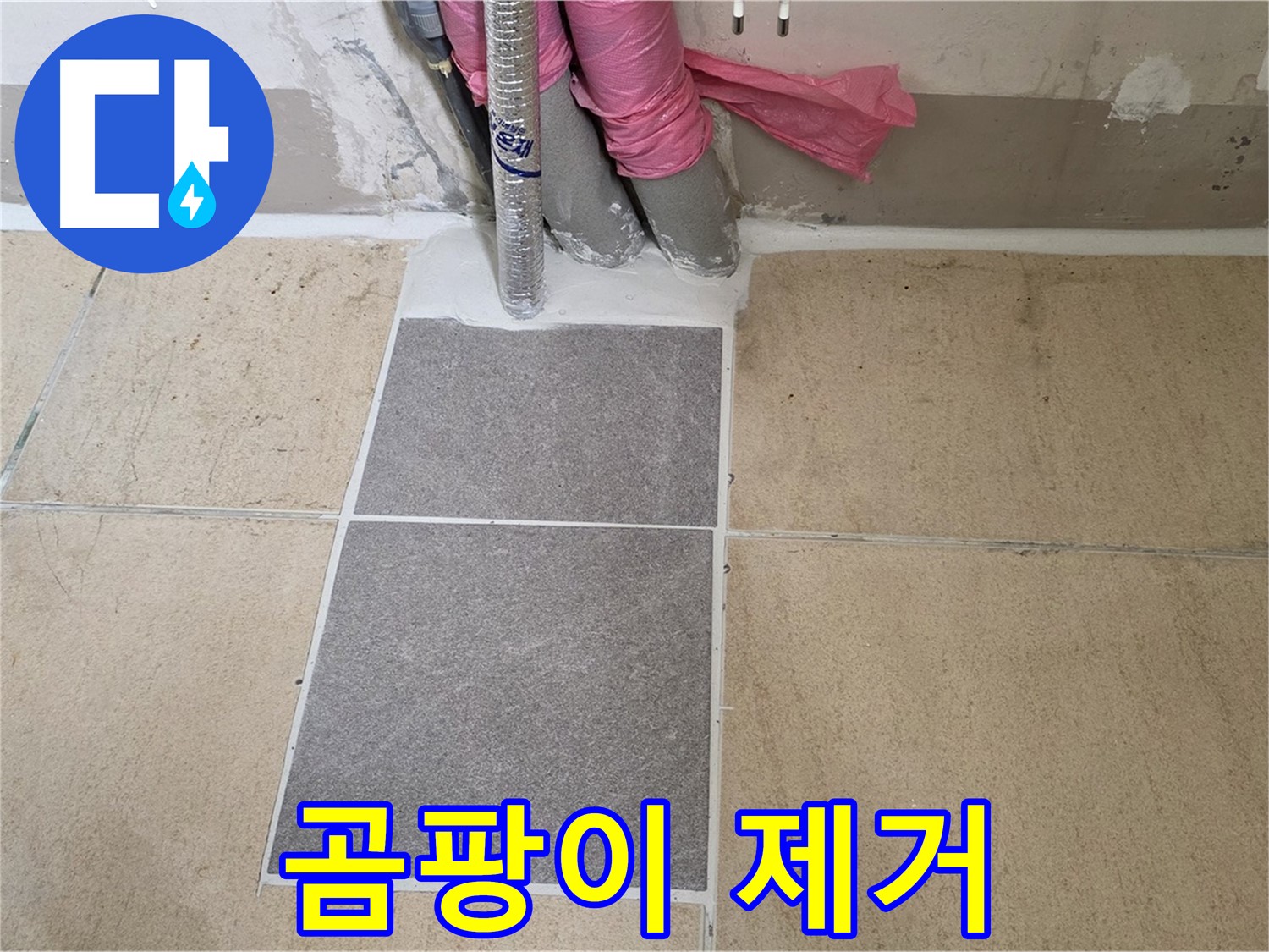 양주 삼숭동 자이아파트 107동 욕실 곰팡이 제거 - 누수와 함께 곰팡이까지 깨끗하게 제거하여 쾌적한 욕실을 만들었습니다.