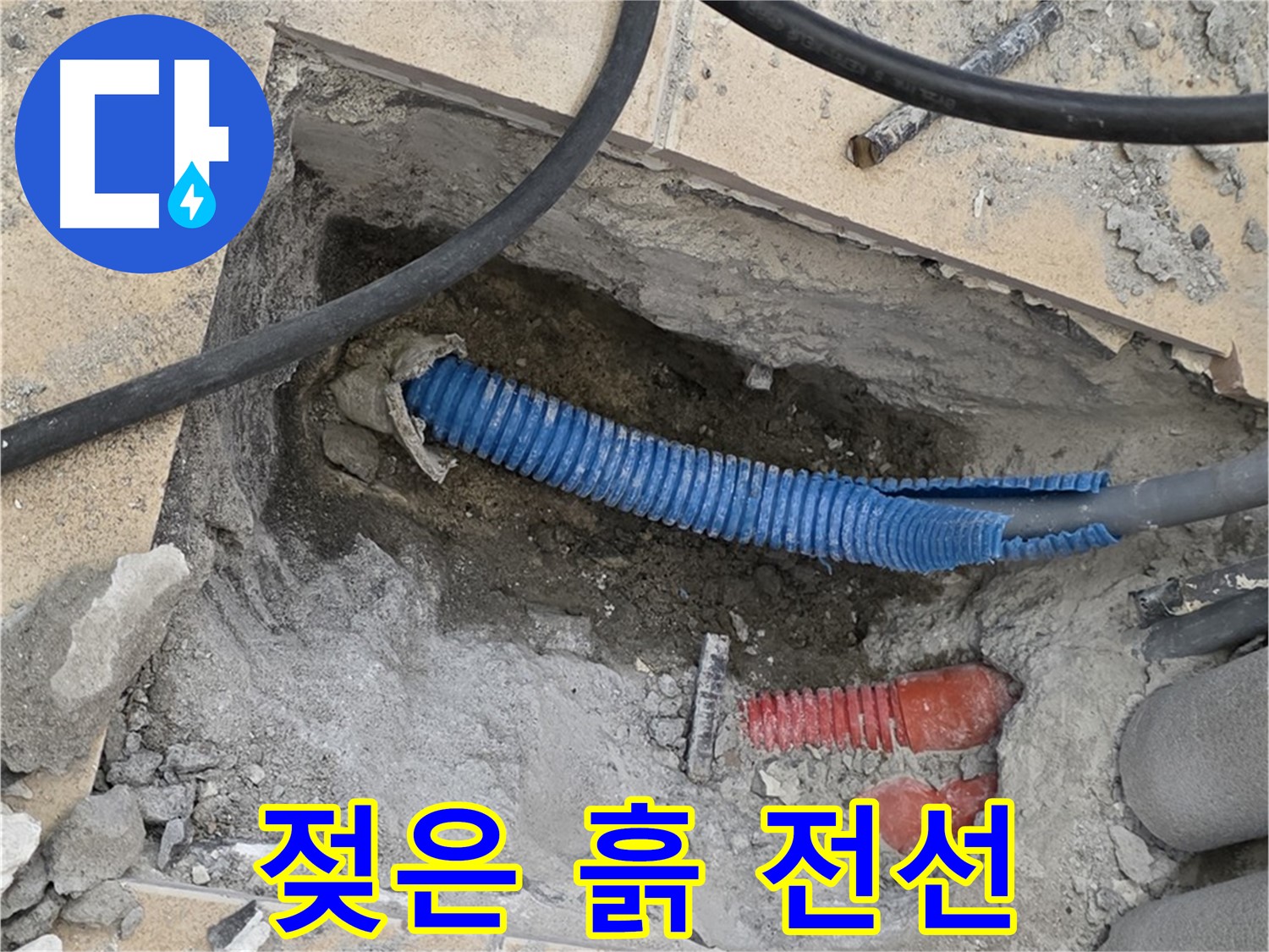 양주 삼숭동 자이아파트 누수 - 굴착 후 젖은 흙과 꼬불거리는 파란 전선관