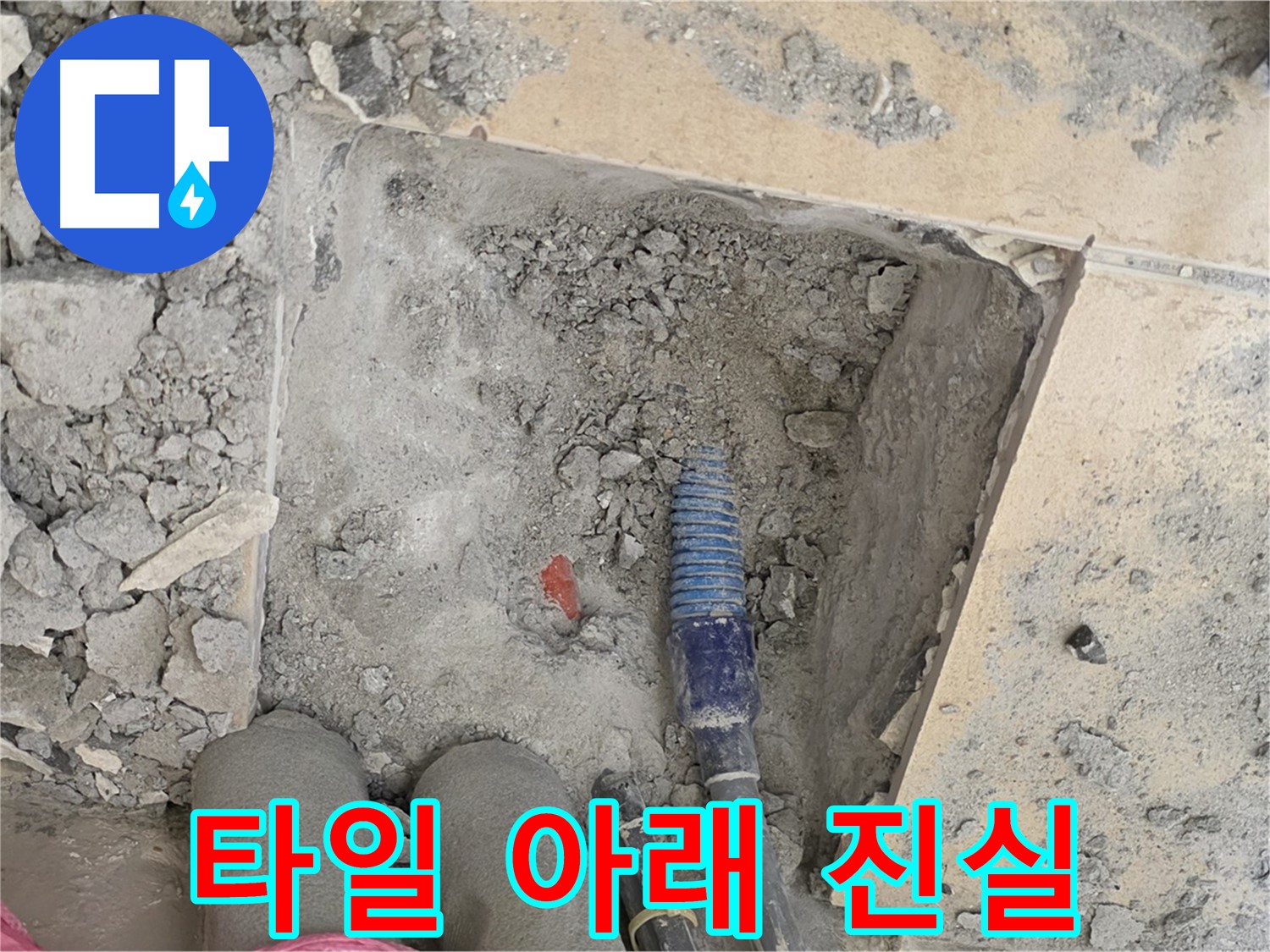 양주 삼숭동 자이아파트 누수 - 깨진 타일 아래 숨겨진 누수의 진실을 찾아서