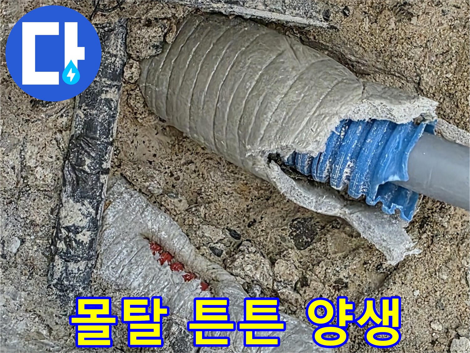 양주 삼숭동 자이아파트 누수 - 배관 보수 후, 몰탈 양생으로 튼튼하게!