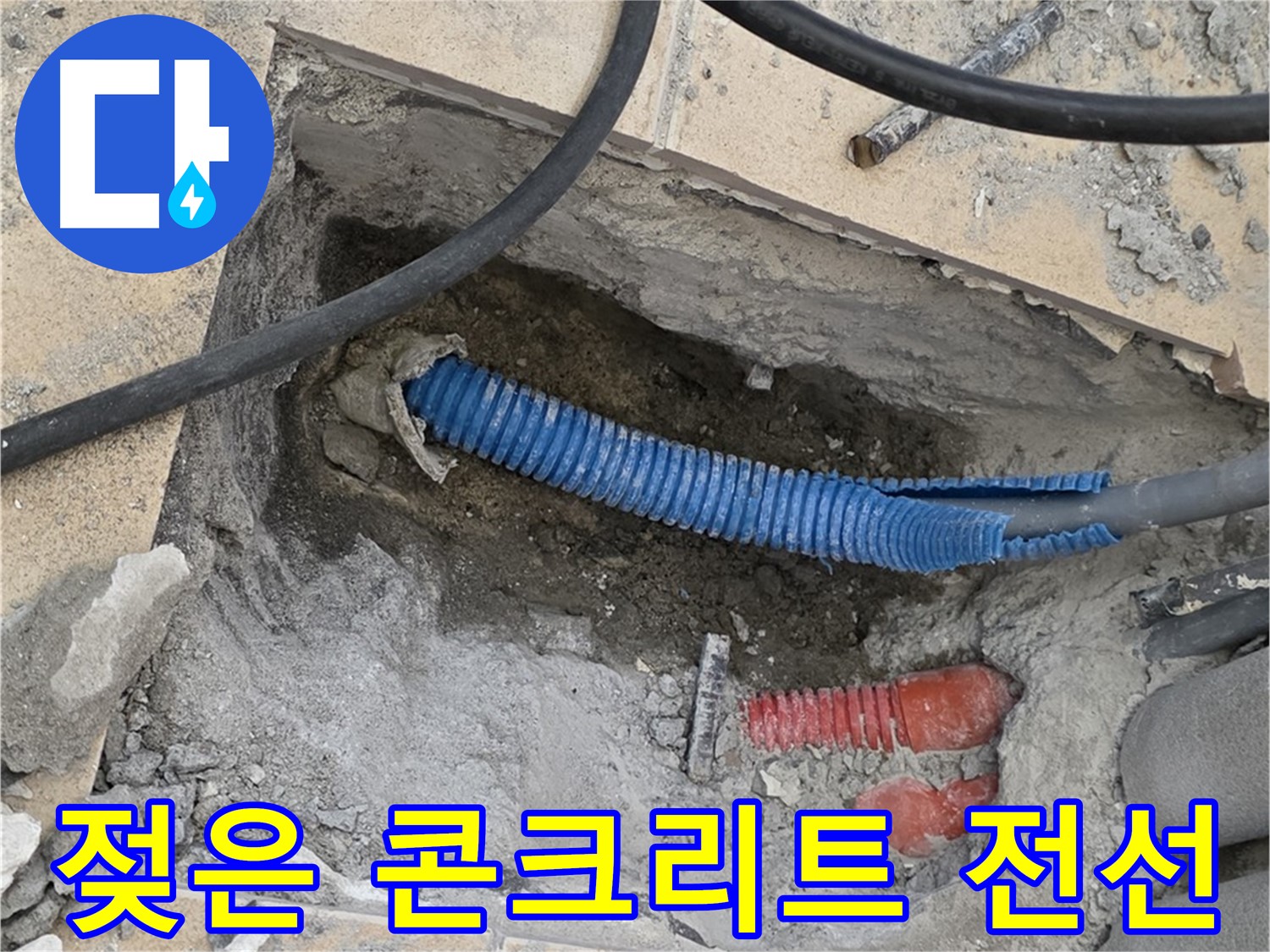 양주 삼숭동 자이아파트 누수 - 젖은 콘크리트와 꼬불거리는 파란 전선관