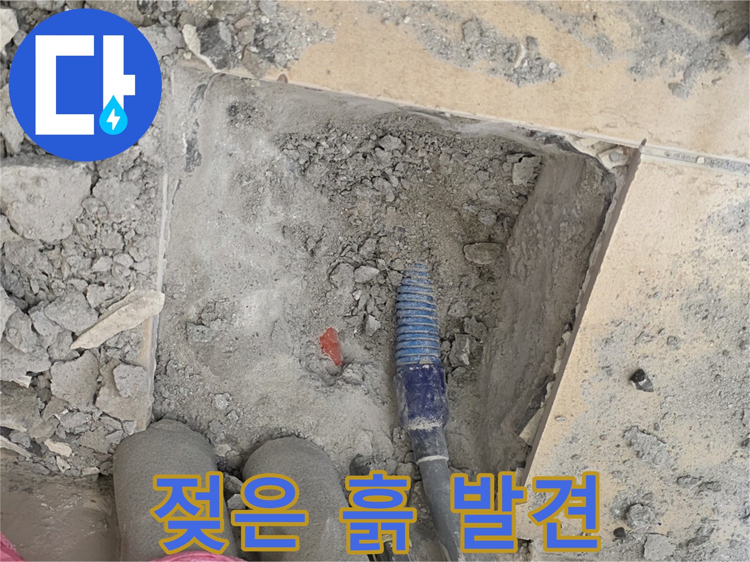 양주 삼숭동 자이아파트 누수 - 젖은 흙 발견! 누수 지점 근처