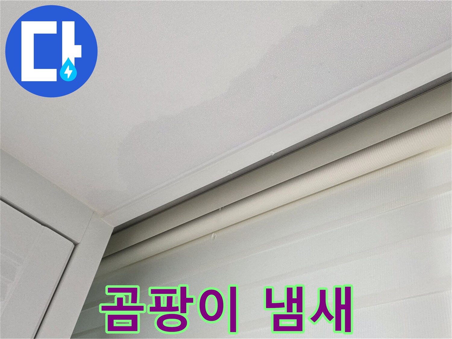 양주 삼숭동 자이아파트 천장 누수 - 곰팡이 냄새 - 건강에 해로울 수 있습니다