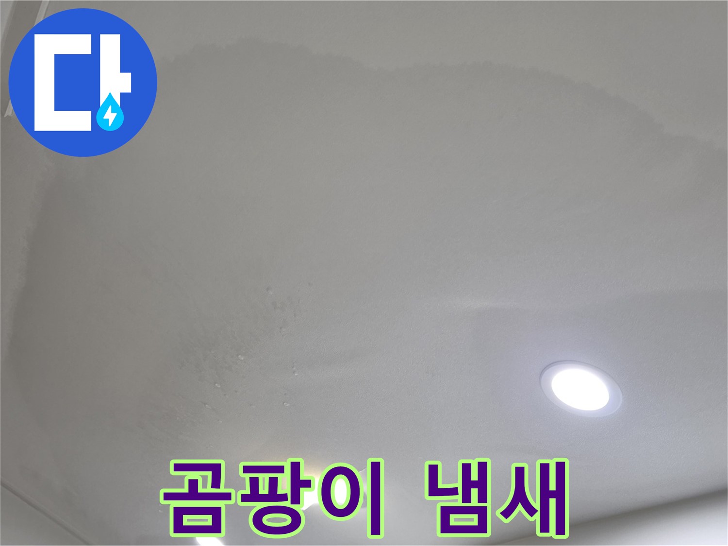 양주 아파트 누수 - 젖은 천장, 곰팡이 냄새