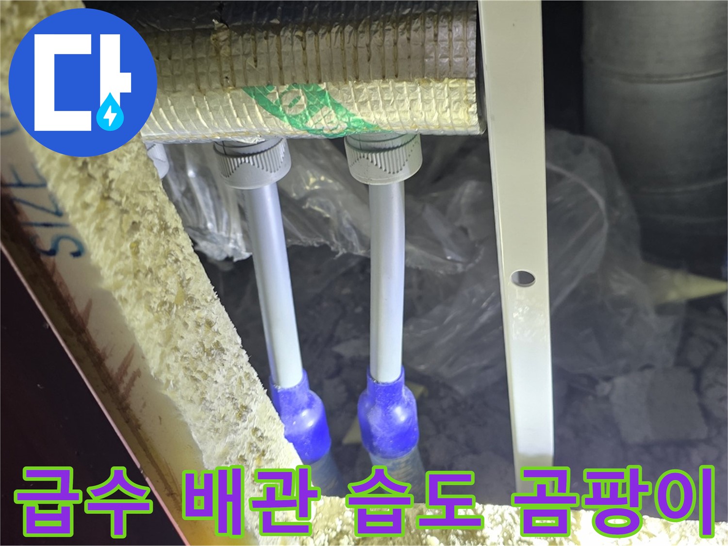 양주 자이 아파트 누수 - 급수 배관 연결 부위 주변 습도 측정 및 곰팡이 발생 여부 진단