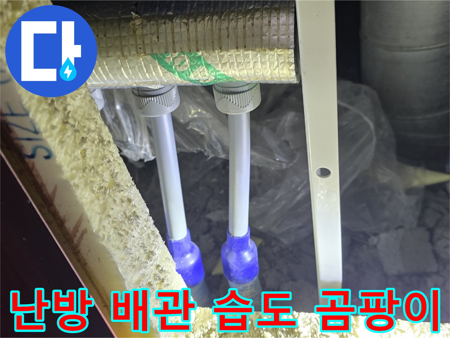 양주 자이 아파트 누수 - 난방 배관 연결 부위 주변 습도 측정 및 곰팡이 발생 가능성 진단
