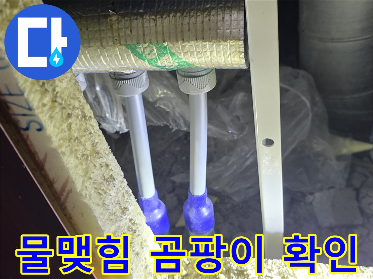 양주 자이 아파트 누수 - 배관 연결 부위 주변 물맺힘 및 곰팡이 발생 여부 육안 확인