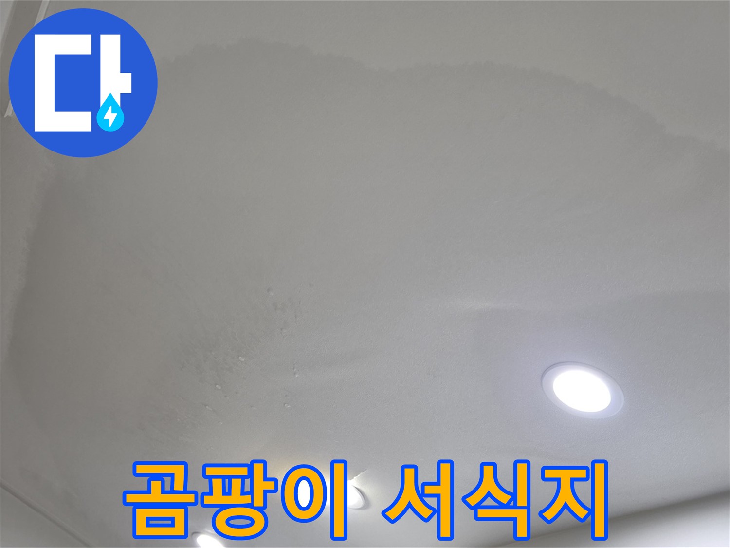 양주시 삼숭동 누수 - 부풀어 오른 천장, 곰팡이