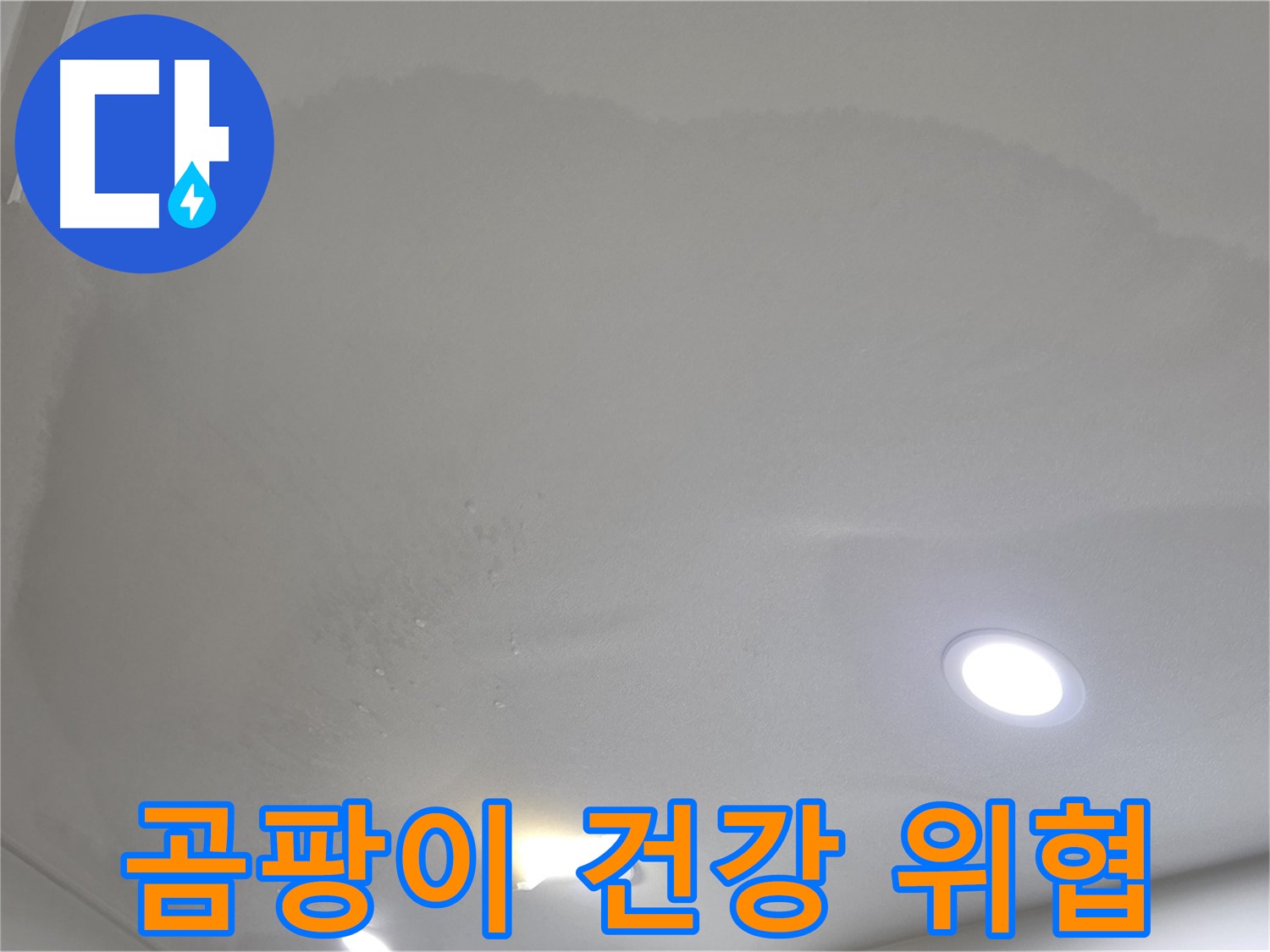 양주시 삼숭동 누수 - 부풀어 오른 천장 - 곰팡이