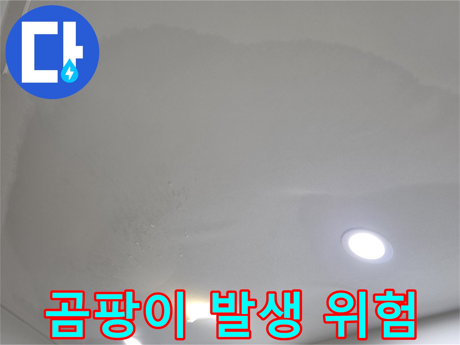 양주시 삼숭동 누수 - 젖은 천장 - 곰팡이 위험