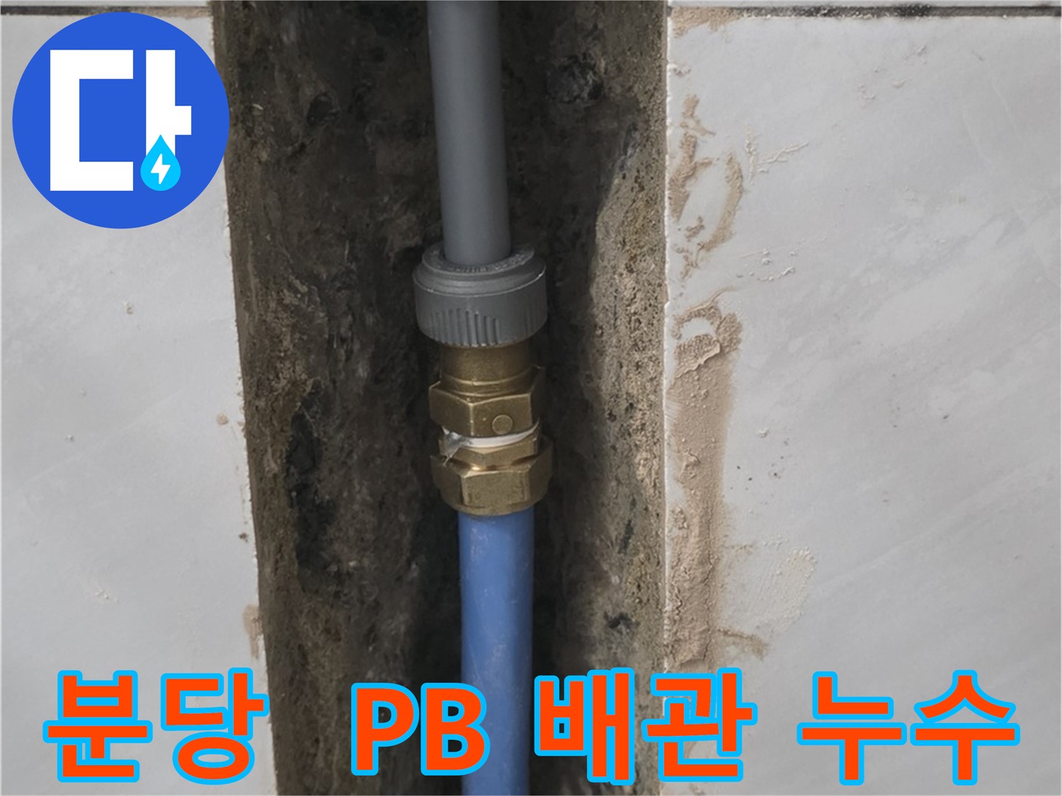 분당 쇳골마을 - PB 배관 누수, 이제 걱정 마세요!