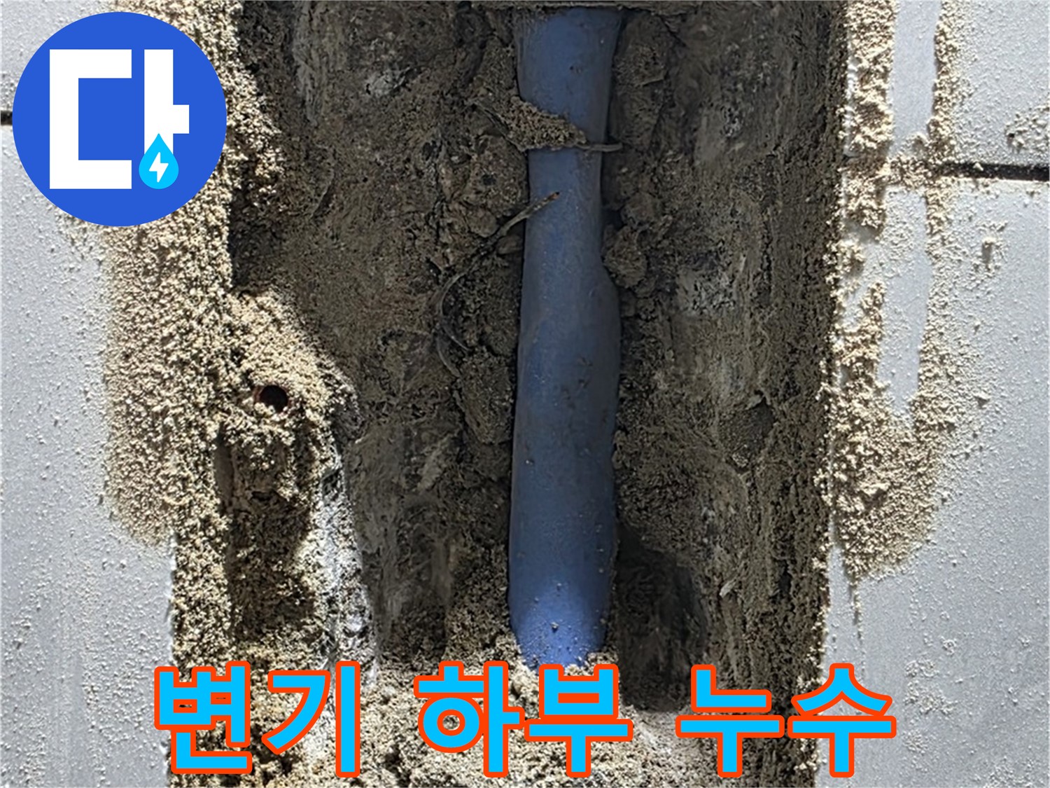 분당 쇳골 누수 - 변기 하부 누수