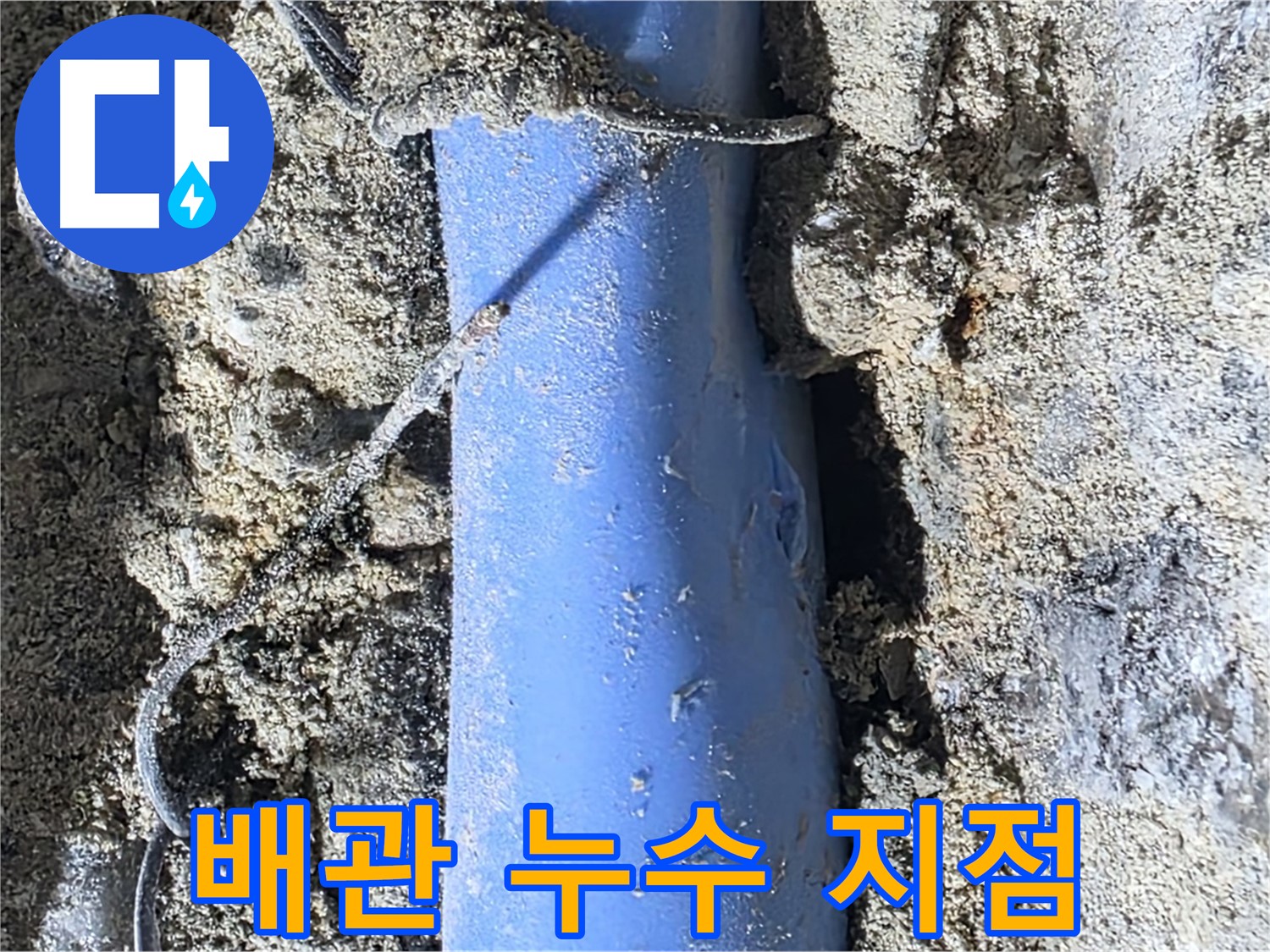 분당 쇳골로 누수 - 정확하게 찾아낸 배관 누수 지점을 보여줍니다.