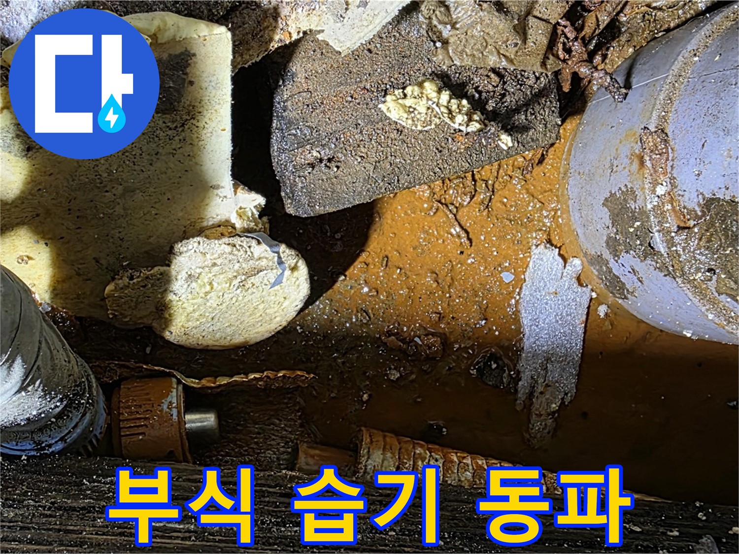 원삼 누수 현장 - 배관 부식과 습기찬 보온재 - 겨울철 동파 대비가 필요합니다.