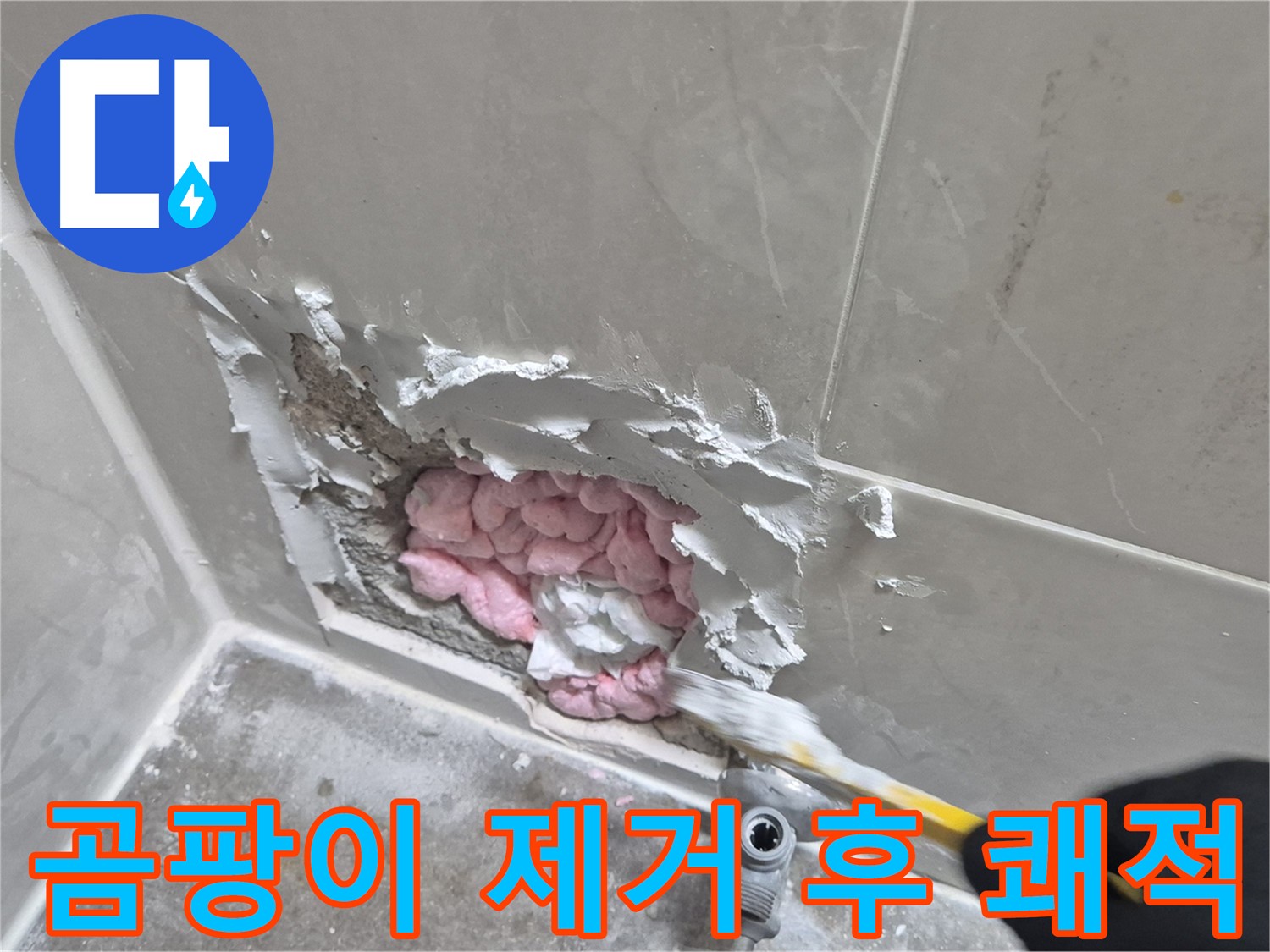 곰팡이 제거 후 쾌적 - 상쾌하게!