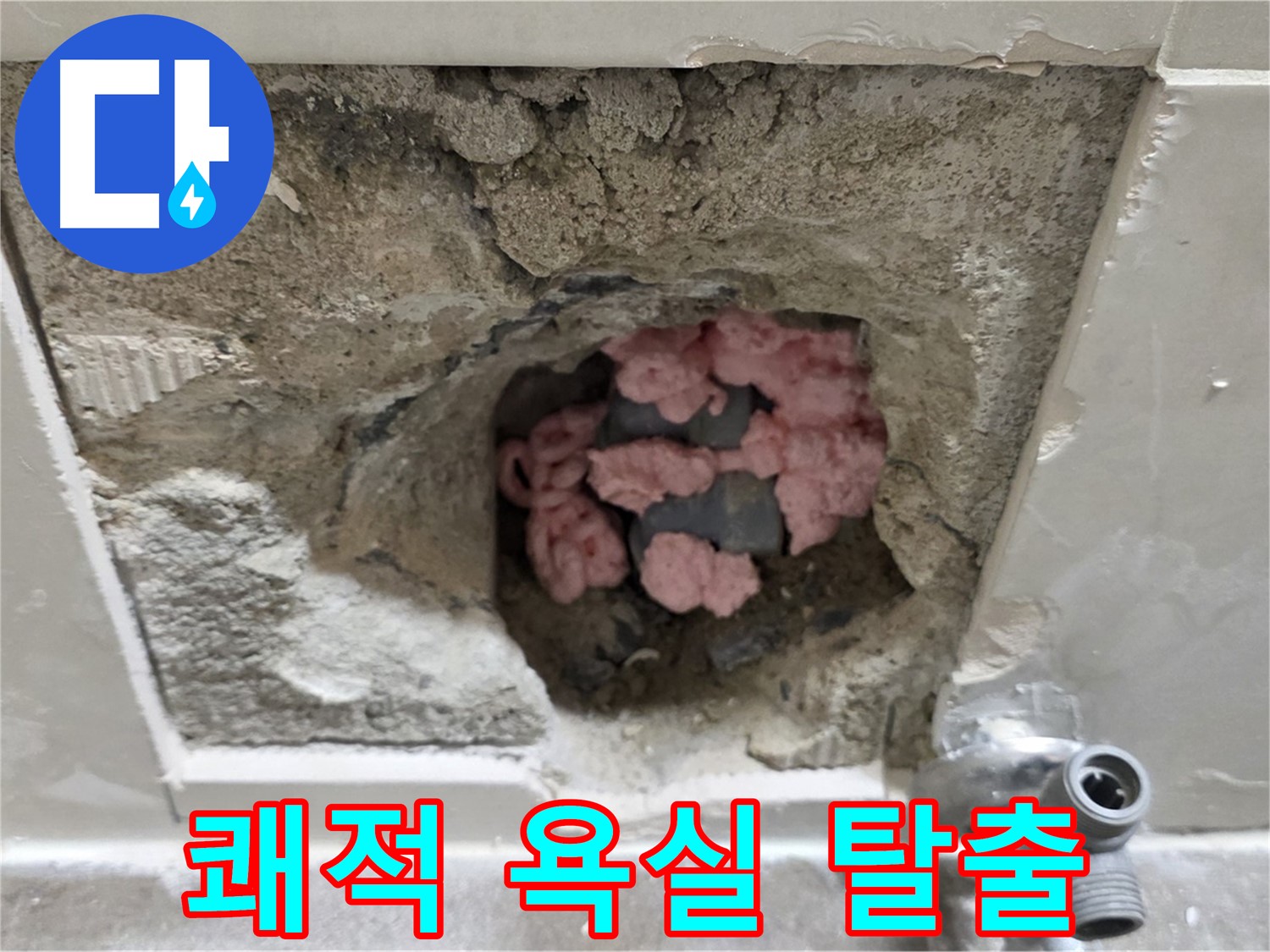 래미안월곡아파트 123동 누수 - 곰팡이 지옥에서 벗어나 쾌적한 욕실로 탈출하세요!